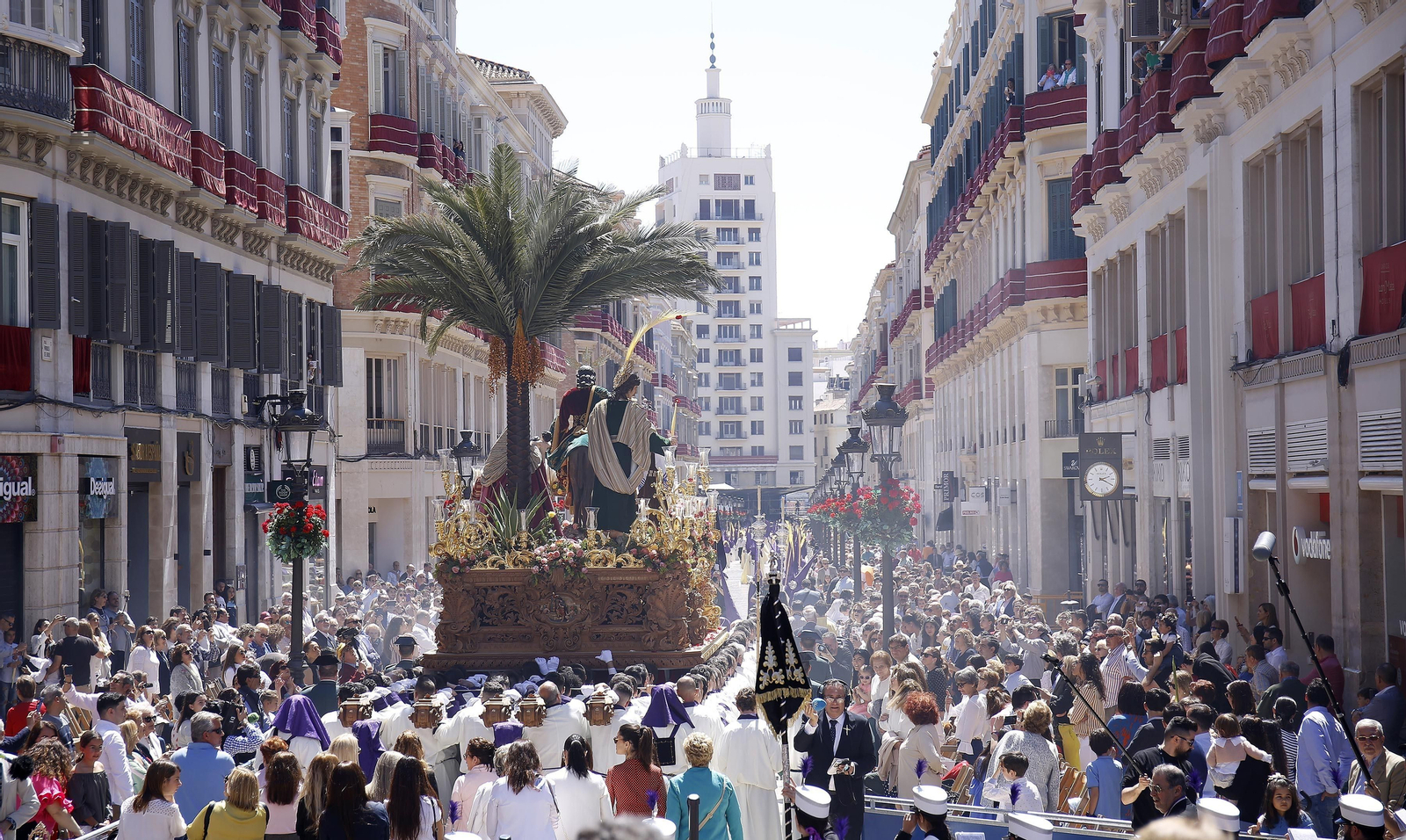 Nuestro Padre Jesús a su Entrada en Jerusalén, Pollinica, recorre en sentido sur la calle Larios.