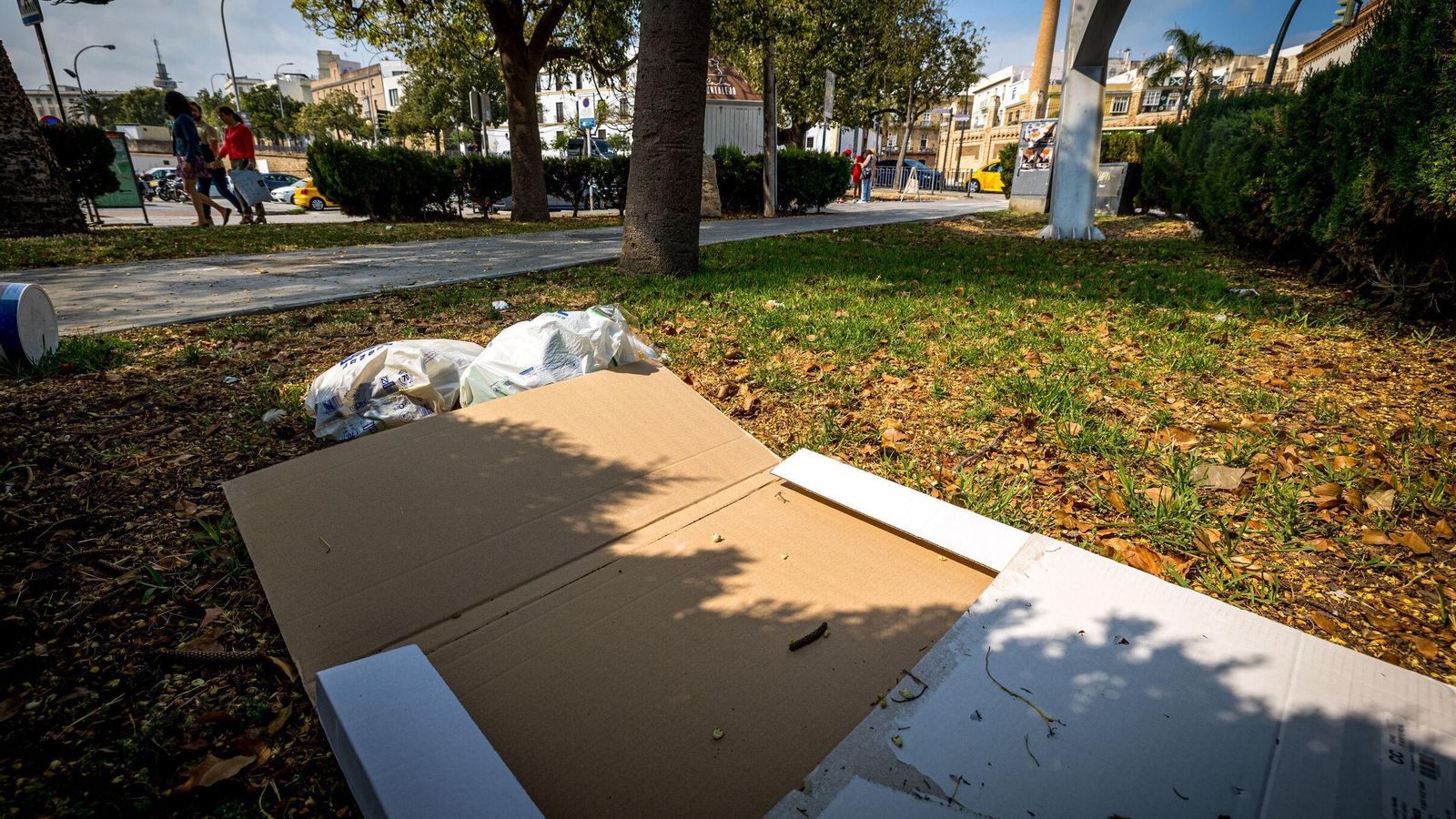 Cartones y bolsas de basura esparcidas en un jardín de la Plaza de Sevilla, a plena luz del día. Cartones y bolsas de basura esparcidas en un jardín de la Plaza de Sevilla, a plena luz del día.