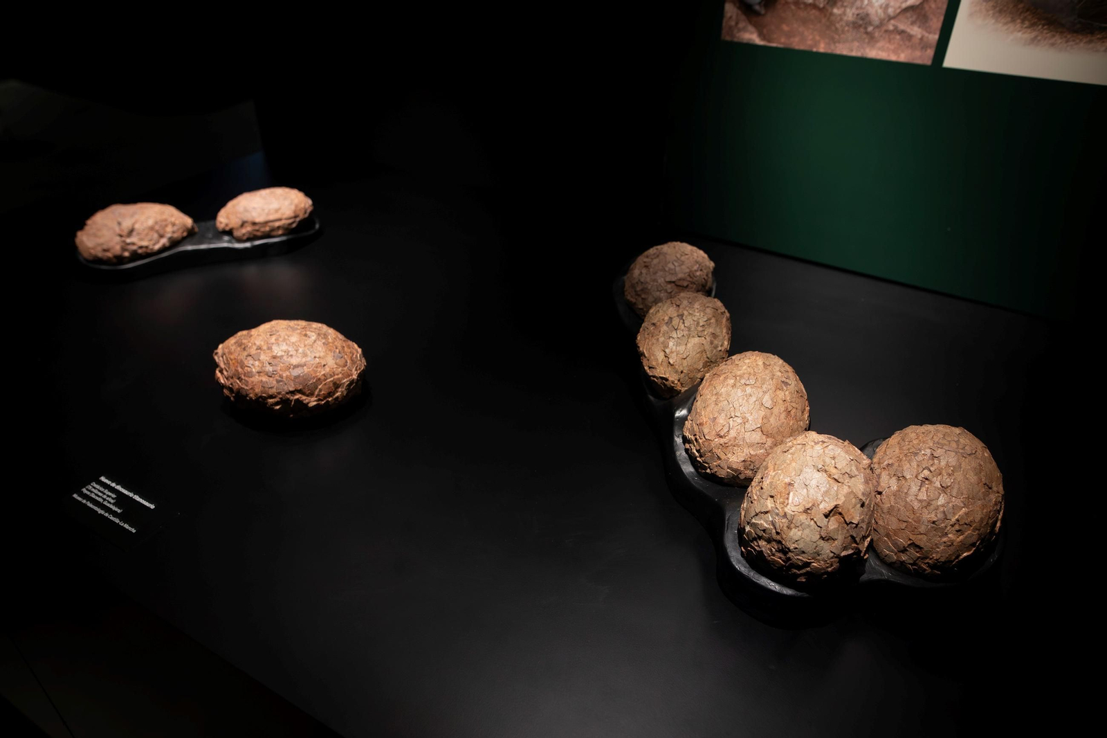 Así se han apoderado los dinosaurios del Parque de las Ciencias de Granada