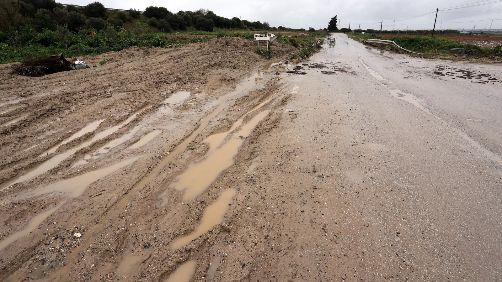Imágenes del temporal de viento y lluvia en Jerez