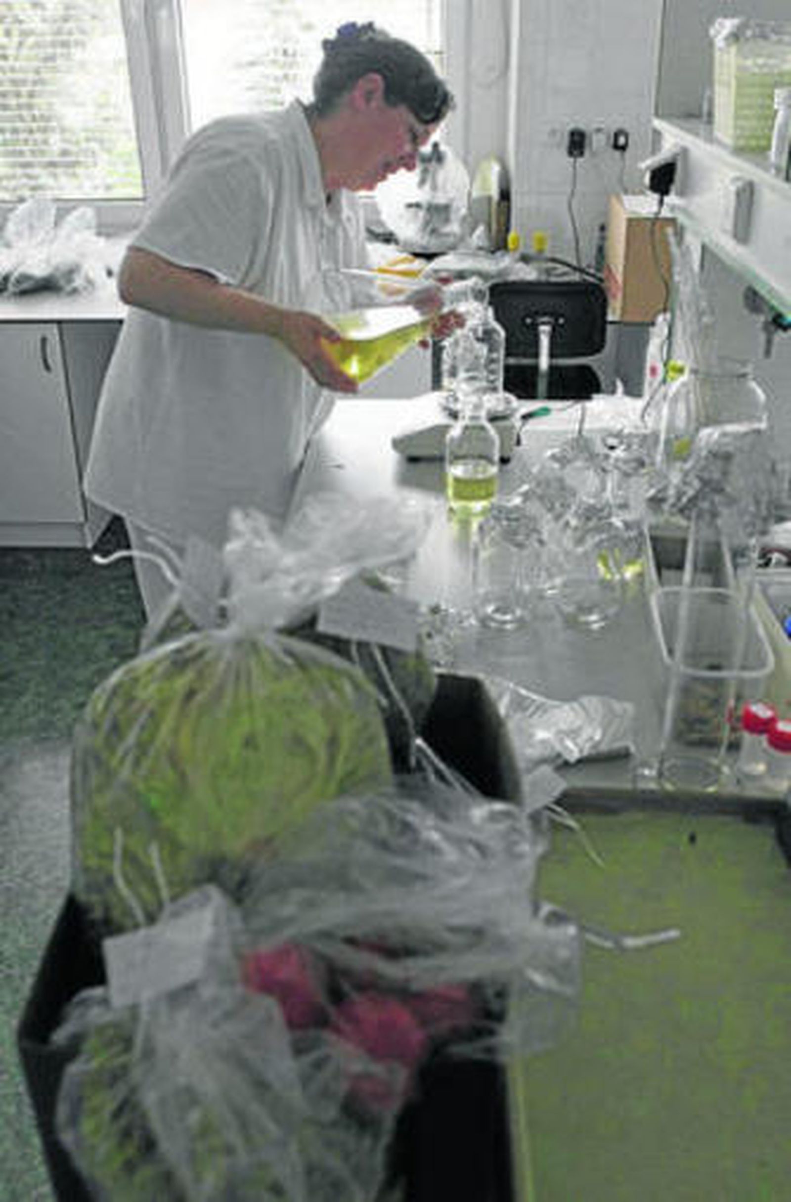 El alcalde en funciones de Íllora degusta un gazpacho con pepino.