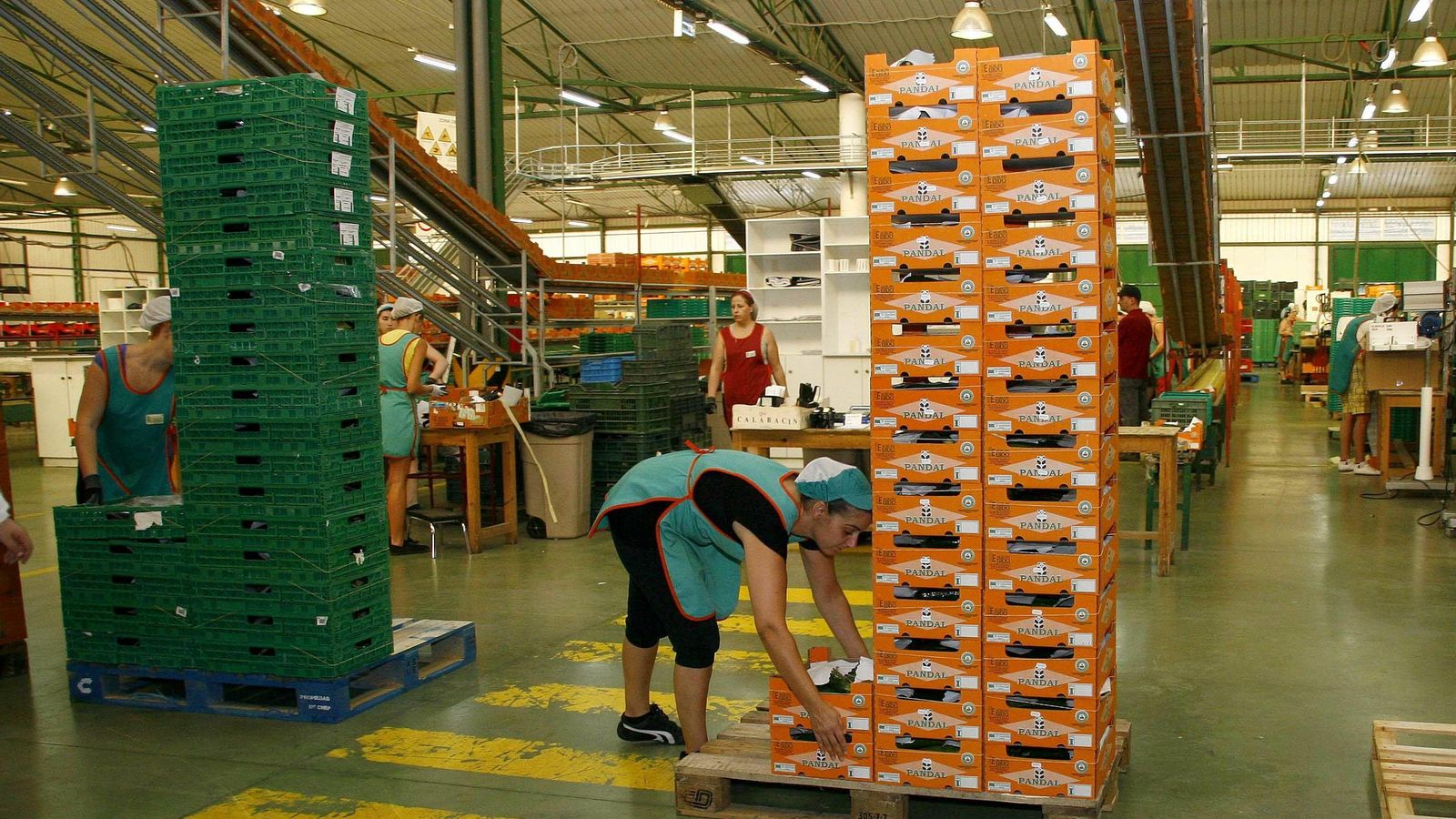 La gestión de los recursos se torna más eficiente.