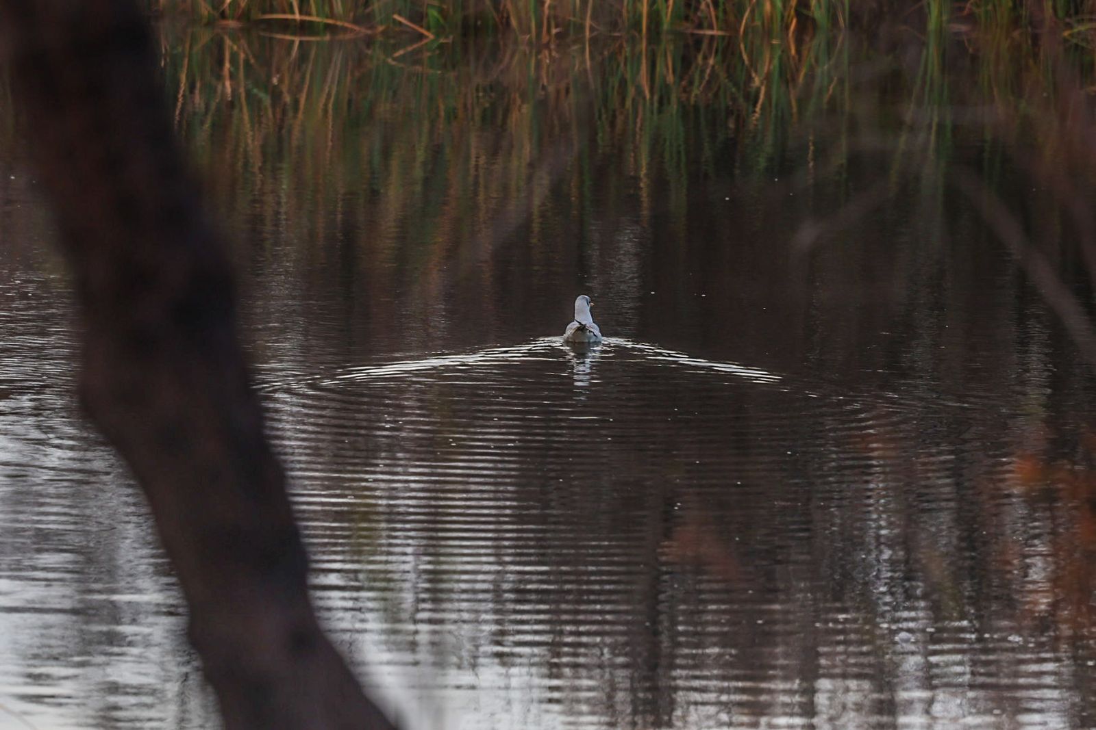 Fotografías de la celebración del Día Mundial de los Humedales
