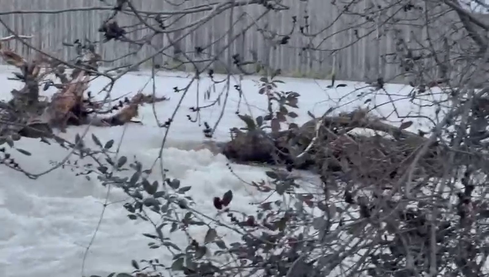 Efectos del temporal en Cortes de Baza