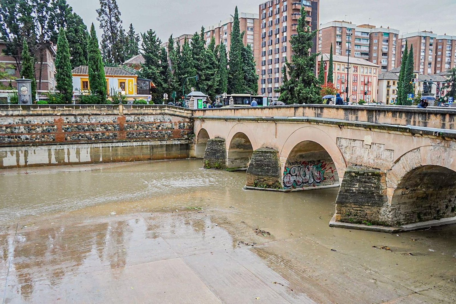 Galería | El agua toma la ciudad de Granada como consecuencia de la Dana