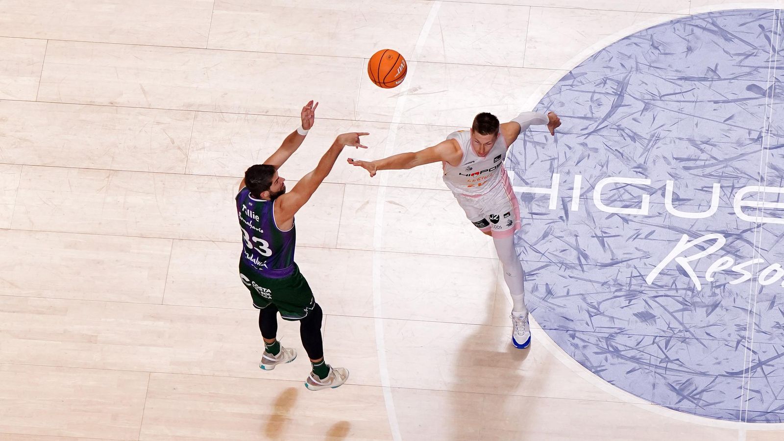 Las fotos del Unicaja-Hiopos Lleida