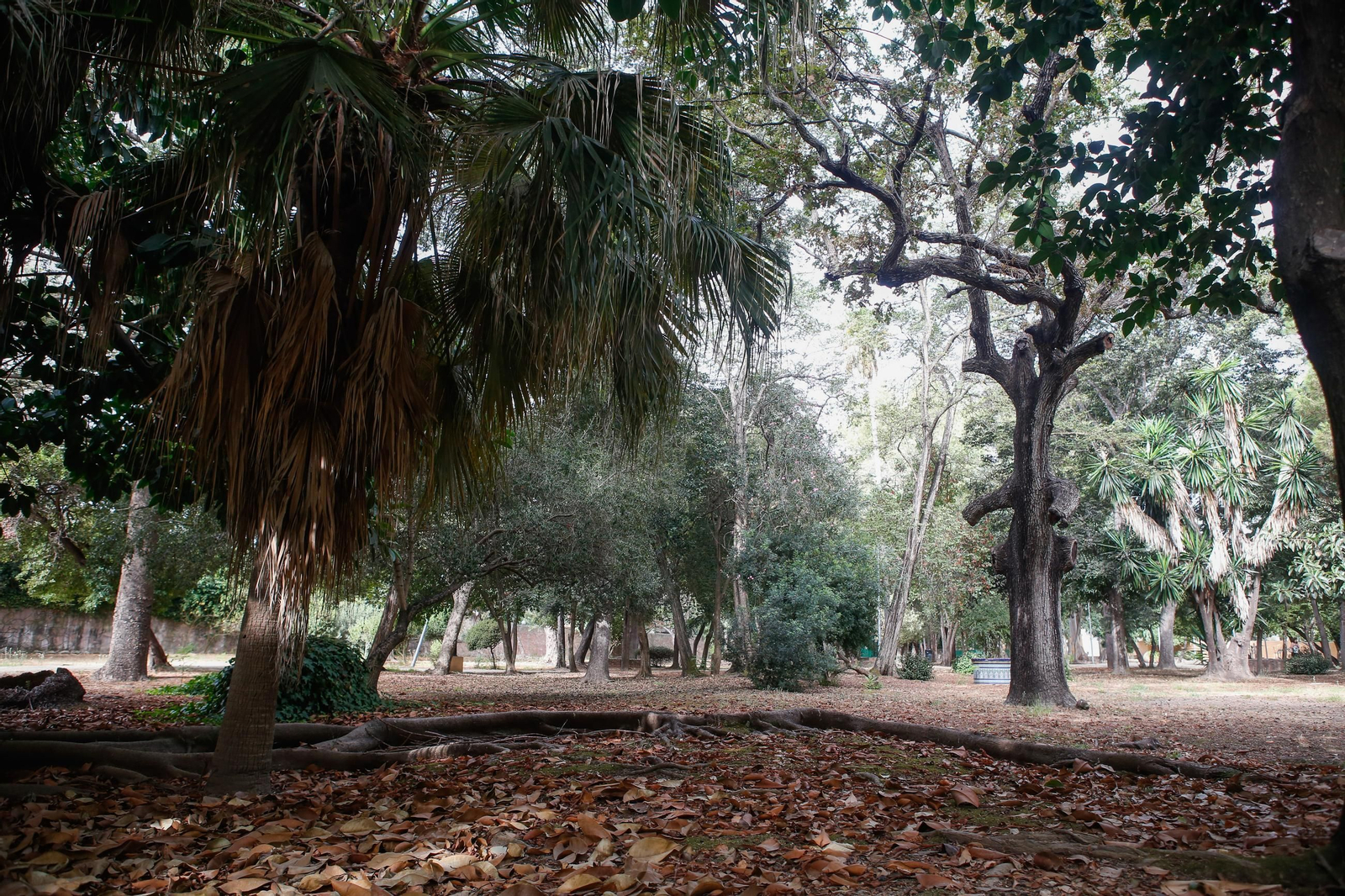 Fotos del Parque de las Acacias, en Villa Smith