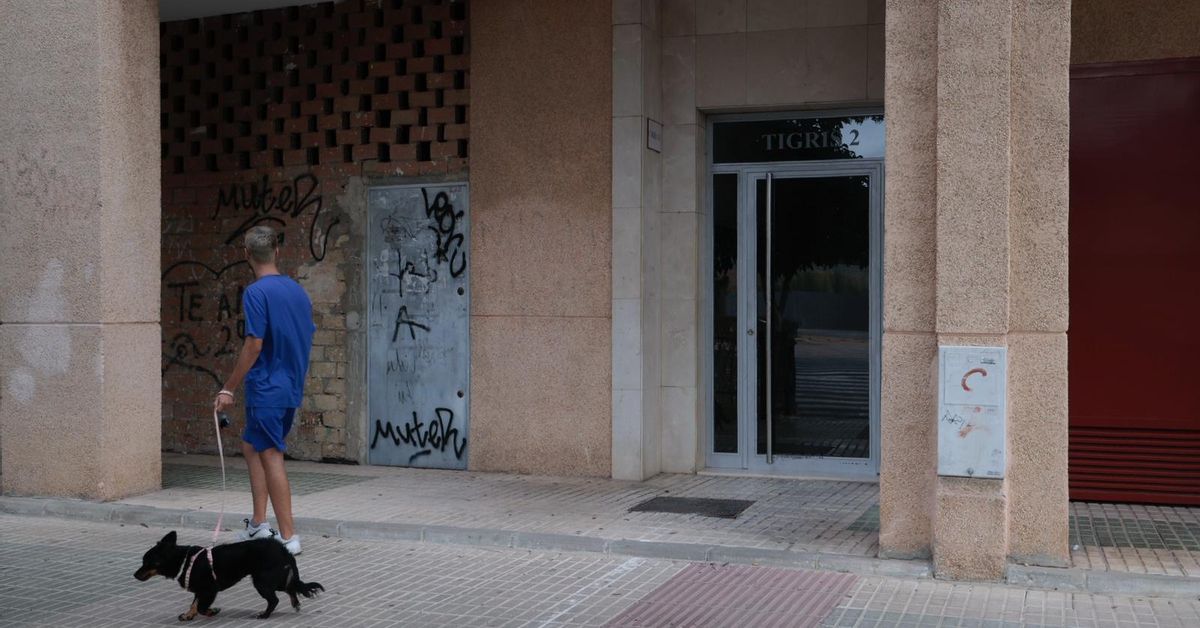www.diariodesevilla.es
