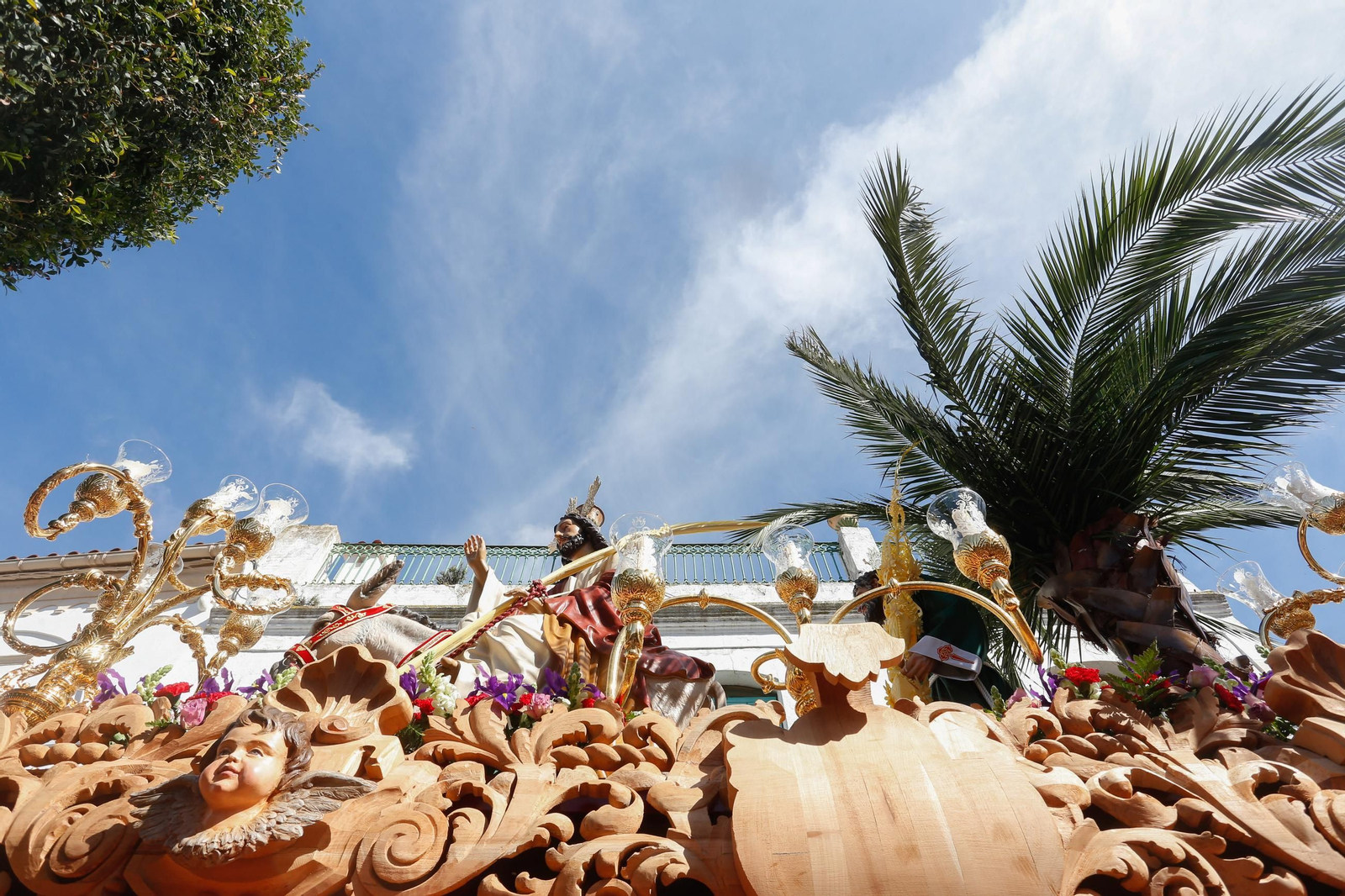 Fotos del Domingo de Ramos en Los Barrios