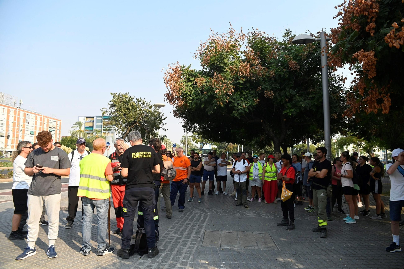 La búsqueda del hombre de 59 años desaparecido en Córdoba, en imágenes