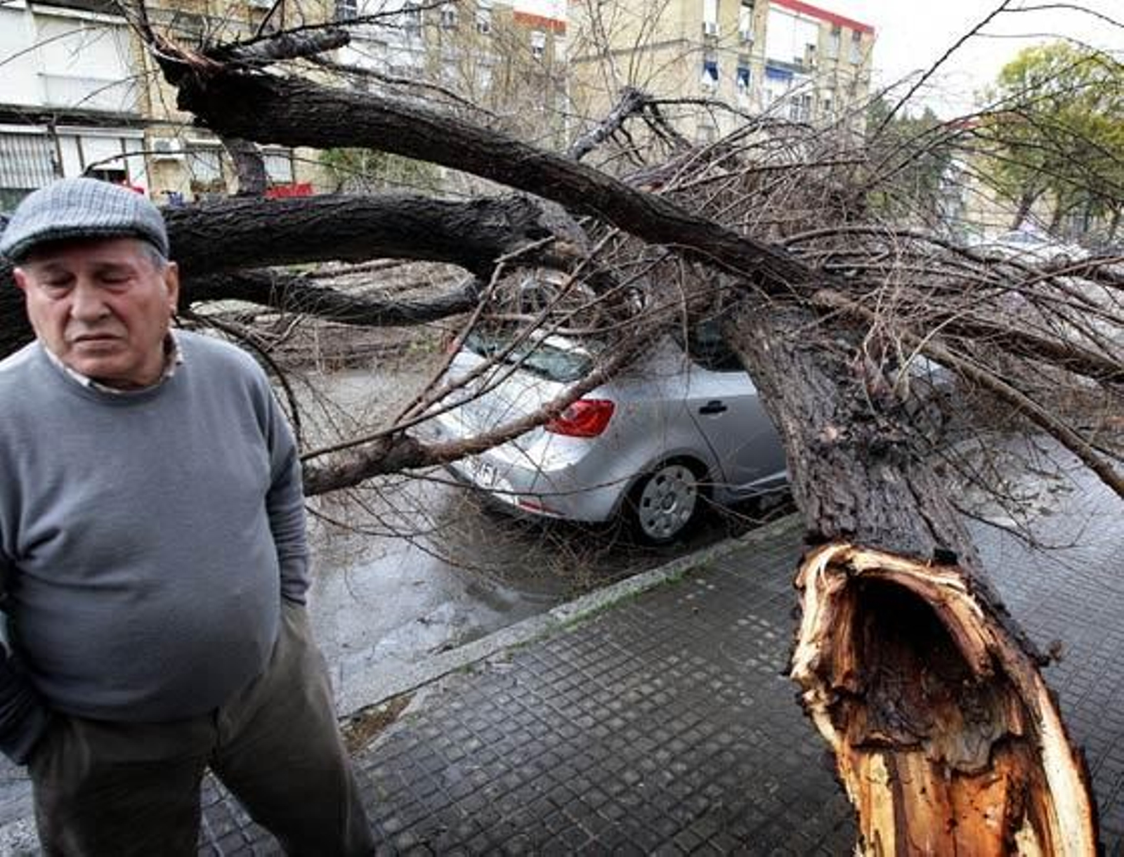 Manuel García, ante su coche destrozado por el árbol.

Foto: miguel ángel gonzález