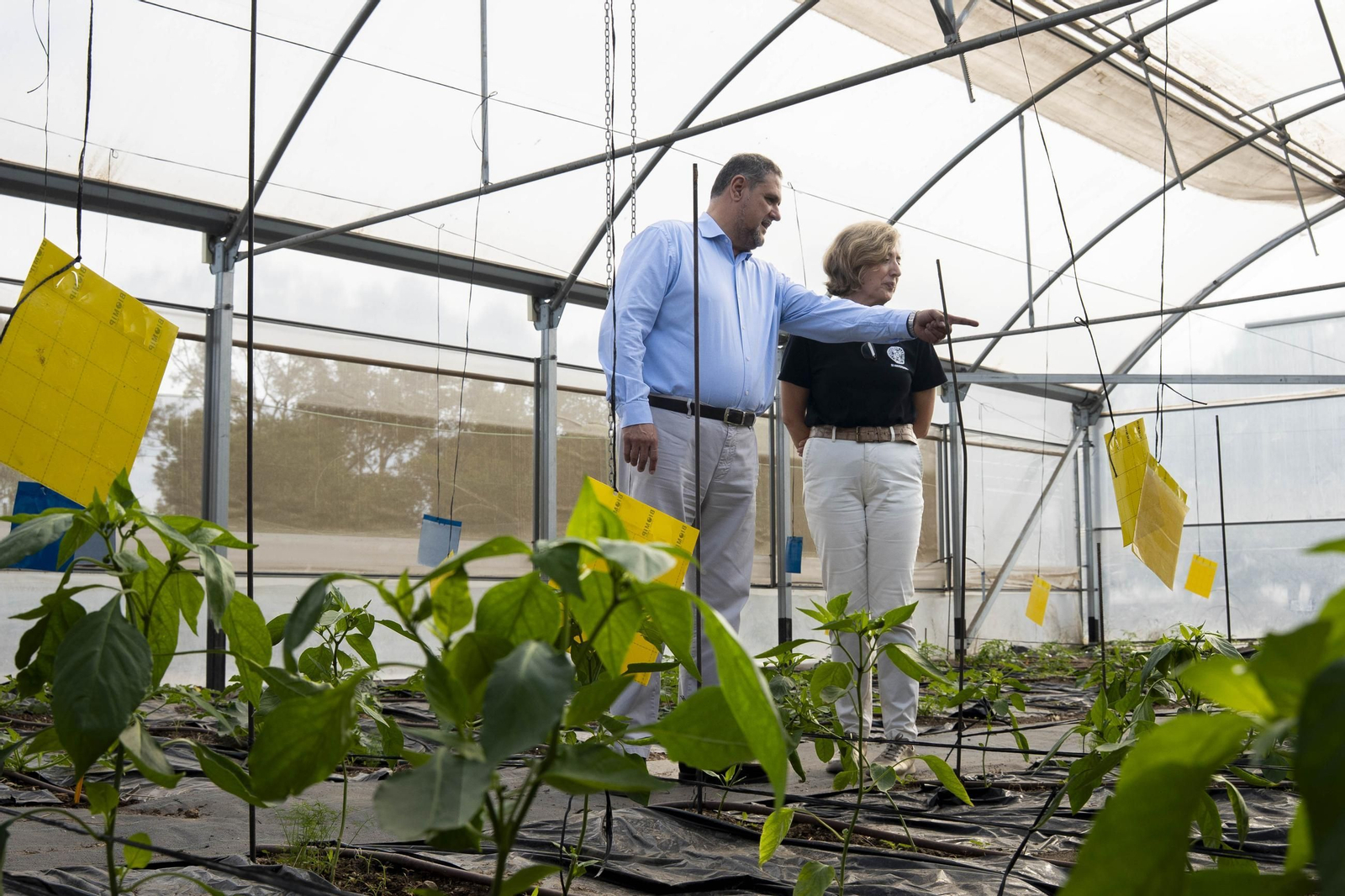 Visitamos el IES Sol de Portocarrero de La Cañada de San Urbano para ver las nuevas infraestructuras para FP en los centros educativos de la provincia de Almería, en imágenes