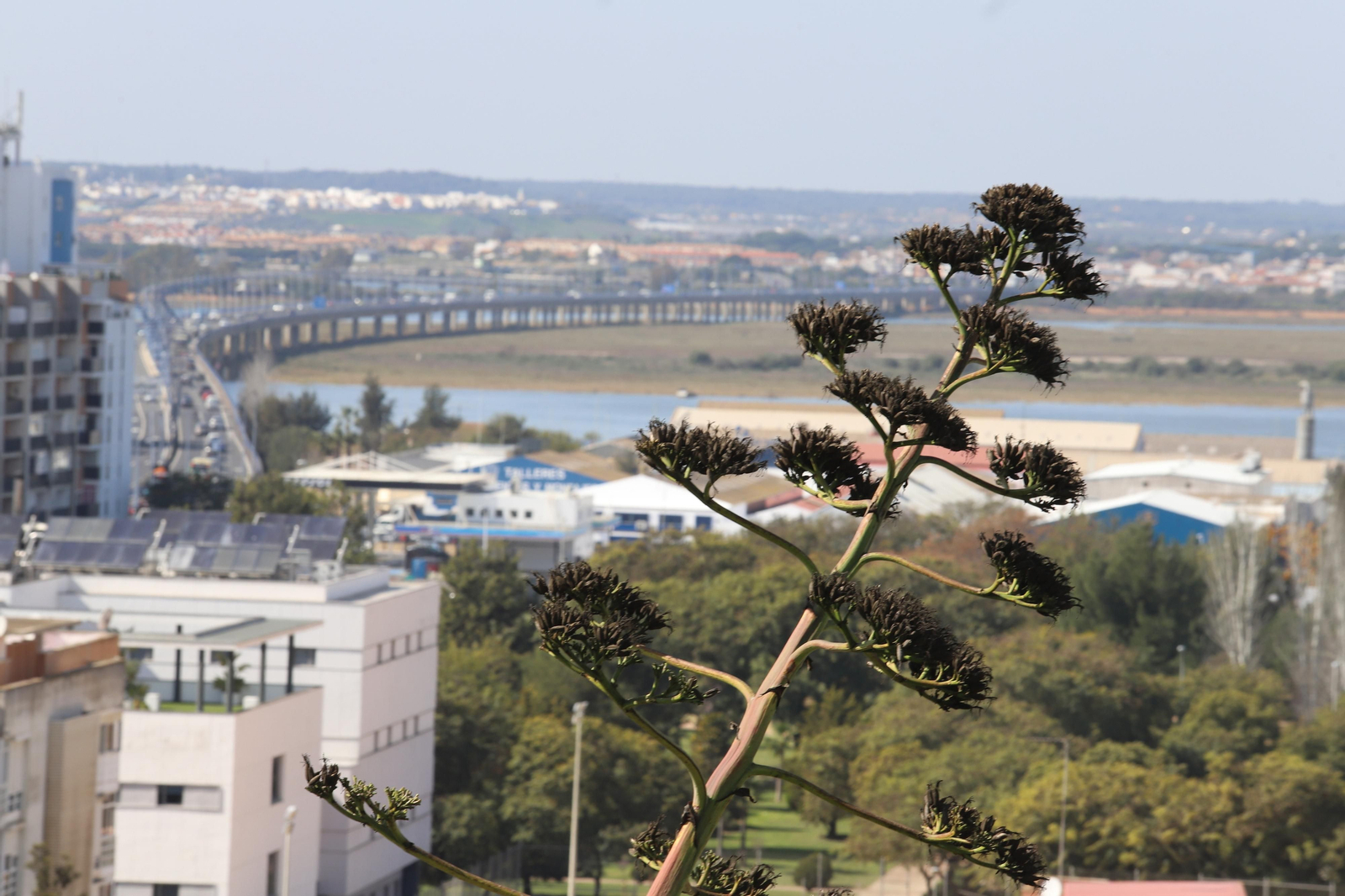 Imágenes del mirador del Conquero, de los cabezos y Fuentevieja