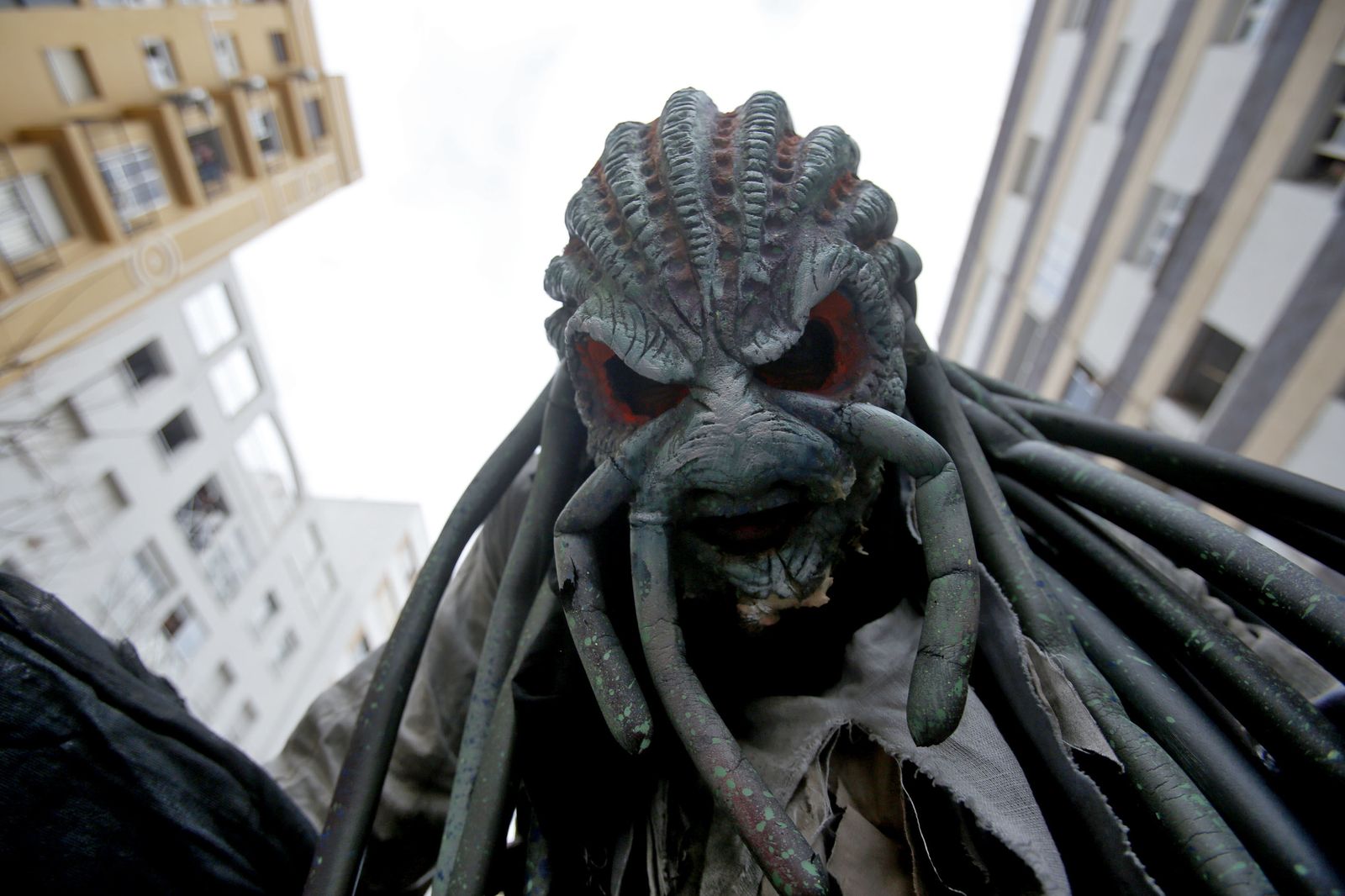 Las imágenes de la Cabalgata Magna