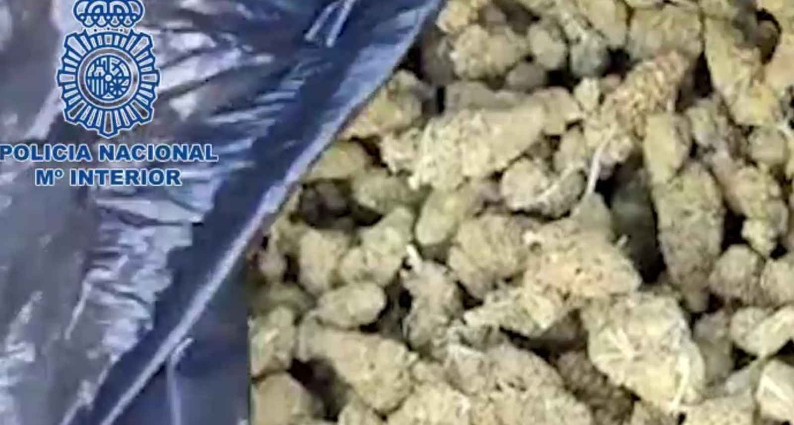 Marihuana hallada en Antequera Marihuana hallada en Antequera