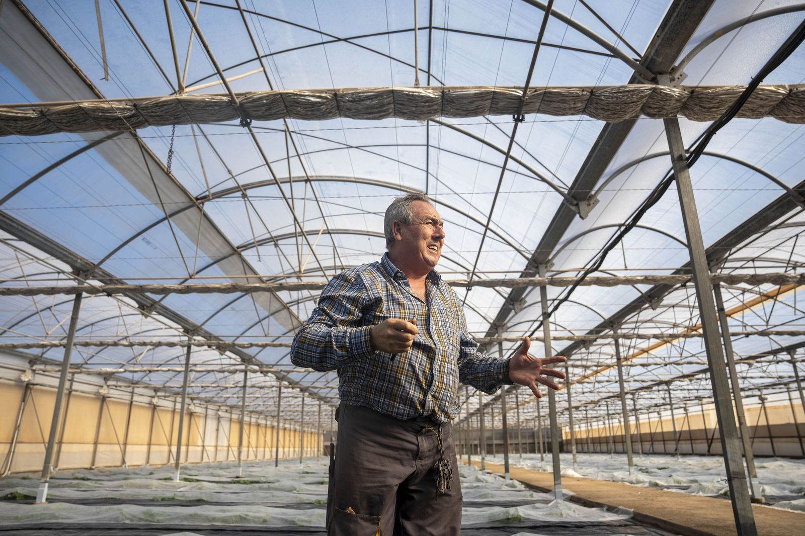 La primavera se planta en invierno entre sandías y tomates almerienses