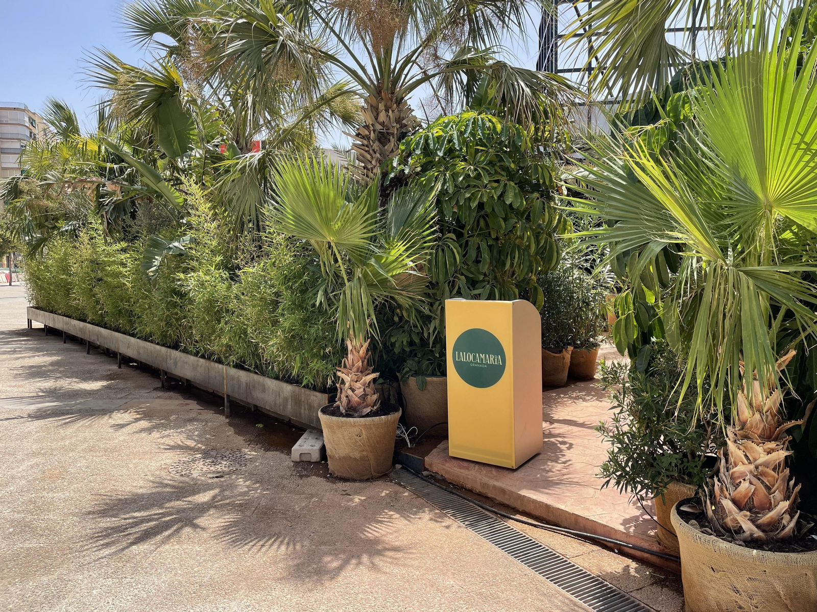 Fotos de 'La Loca María', el nuevo local de moda de Granada