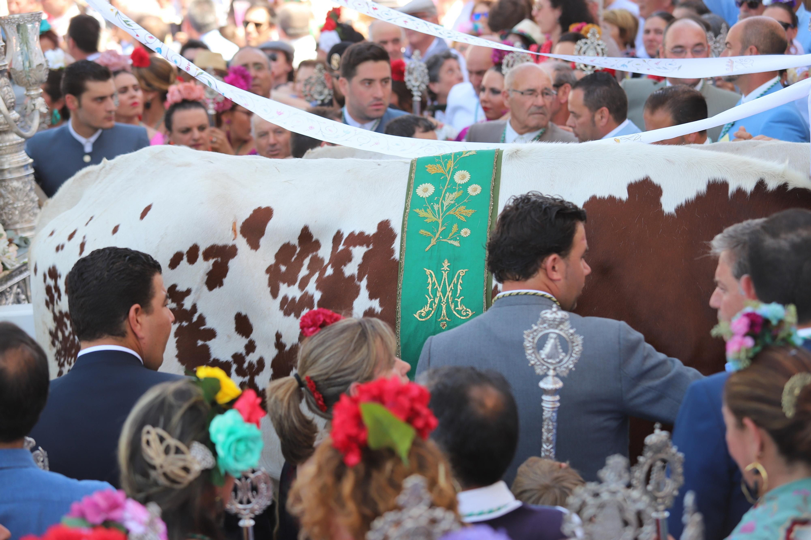 Imágenes de la presentación de las  Hermandades filiales  del sábado en el Rocío