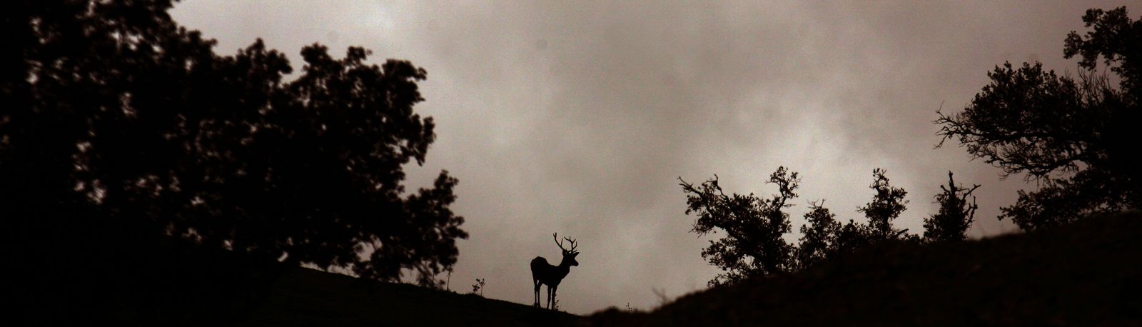 De la soledad del campo al control de daños en la agricultura por animales
