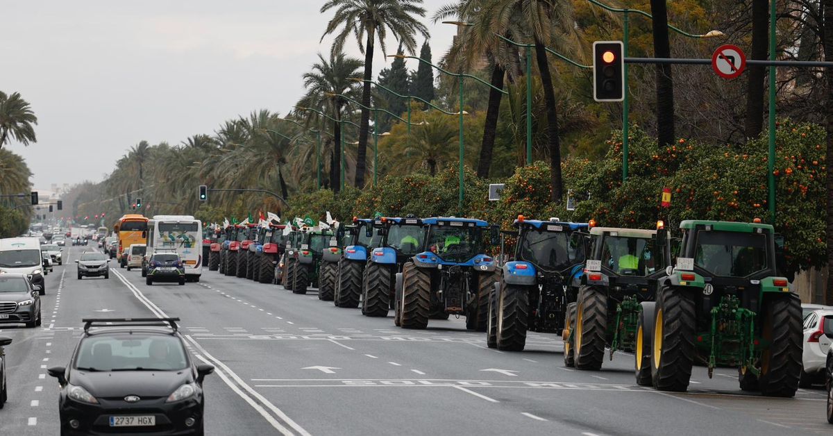 Decenas de tractores cruzan la Avenida de la Palmera de Sevilla