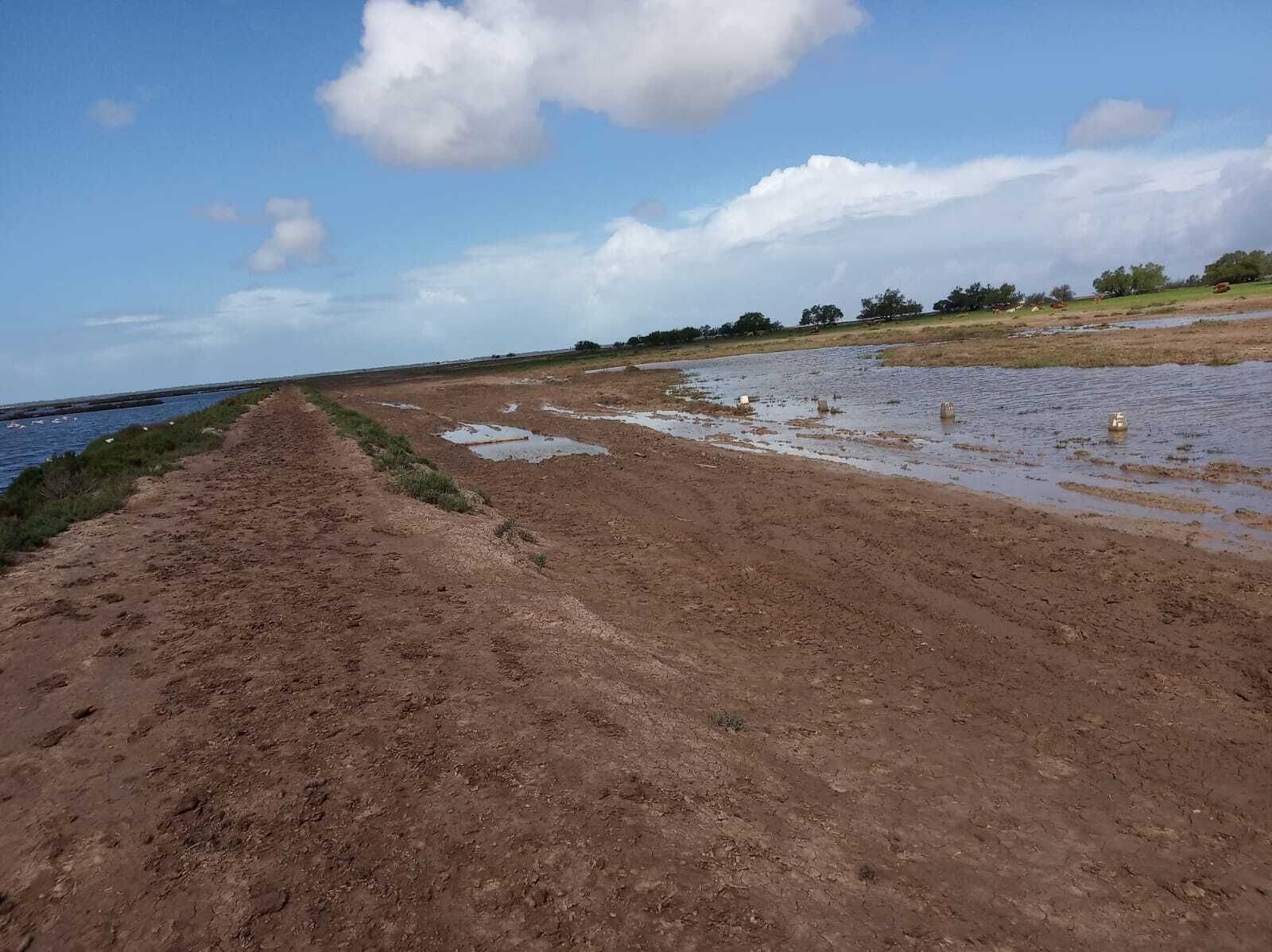 Marismas de la Algaida donde se perdieron los excursionistas.