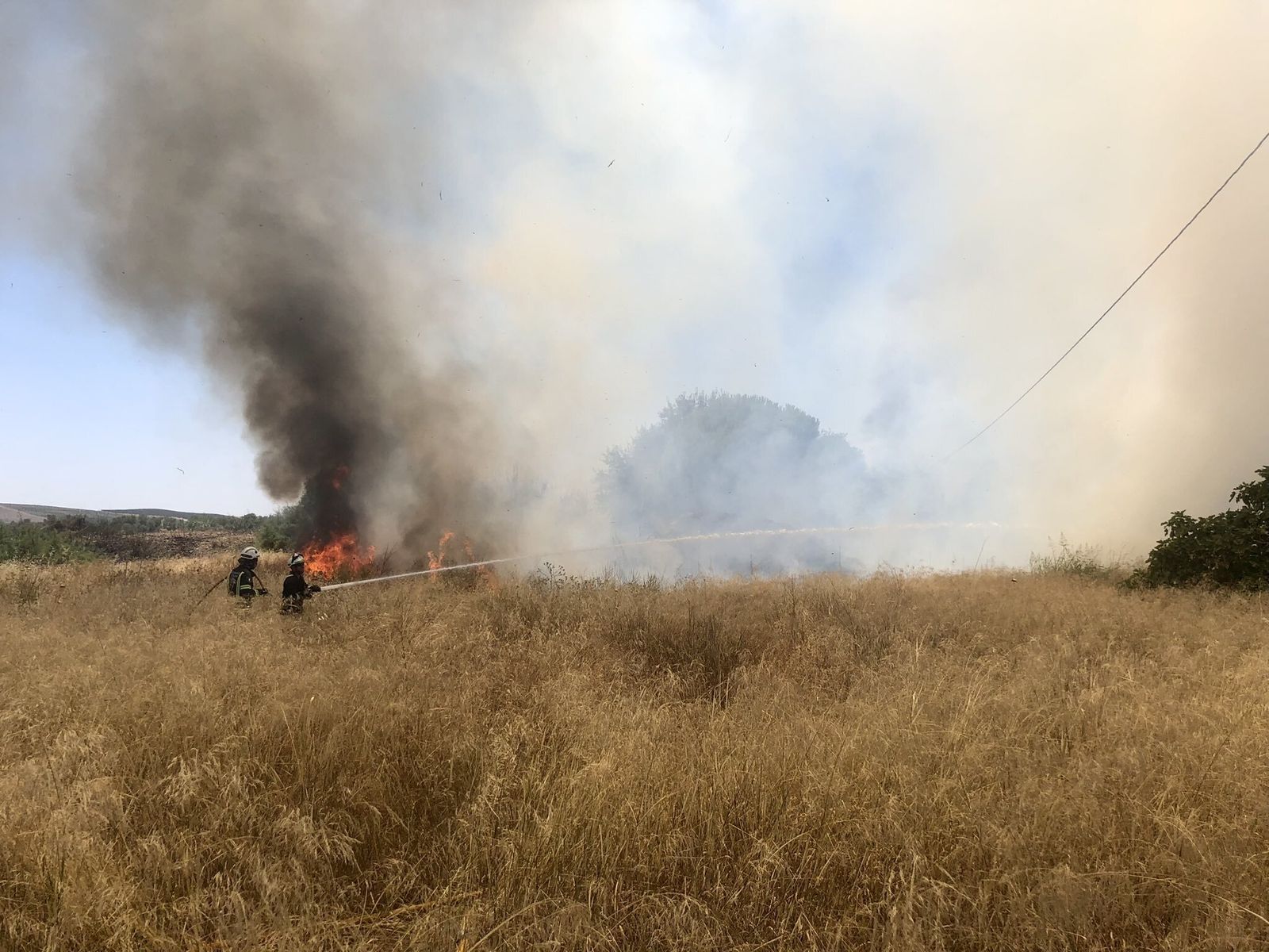 Los bomberos de Córdoba sofocan un fuego de pastos.