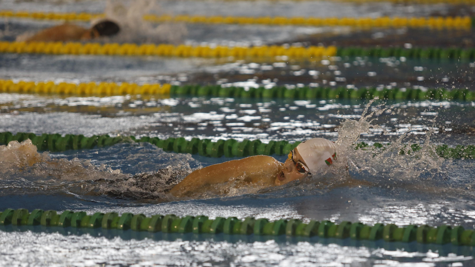 Las fotos del X Campeonato de España de natación por comunidades autonómicas, en Los Barrios