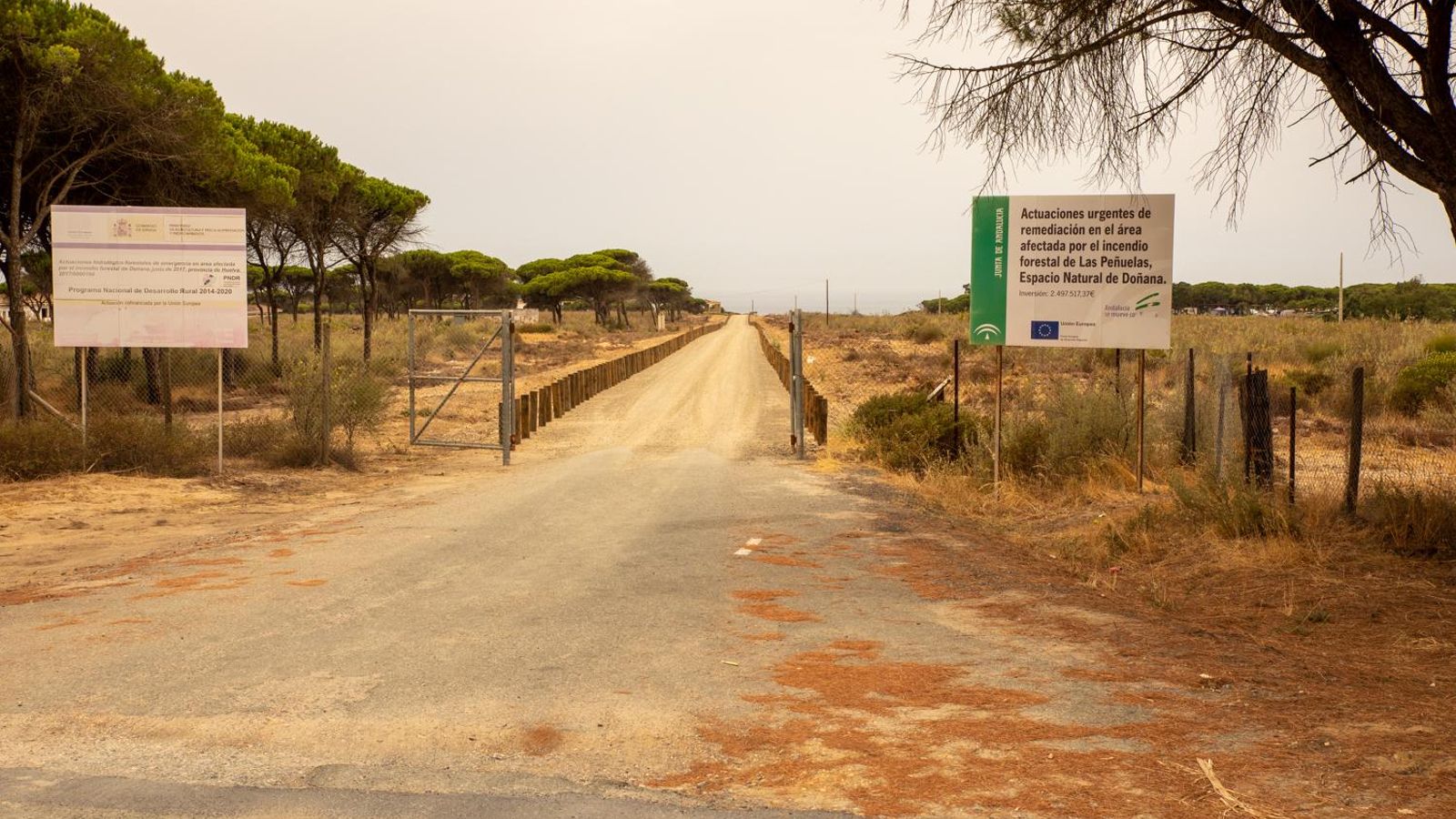 Espacio Natural de Doñana Espacio Natural de Doñana
