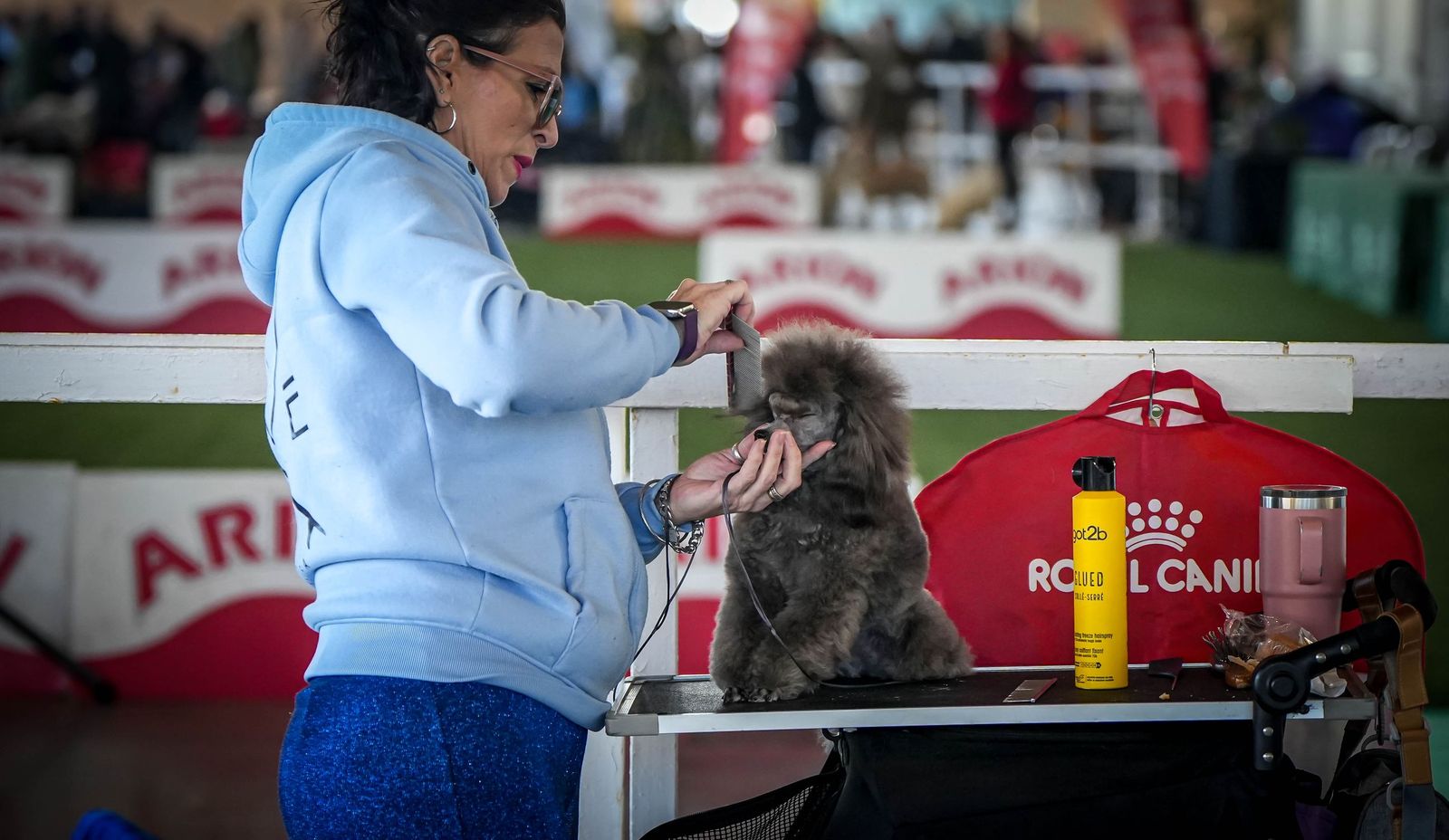 Espectacular exposición canina en Ifeca Jerez, en imágenes
