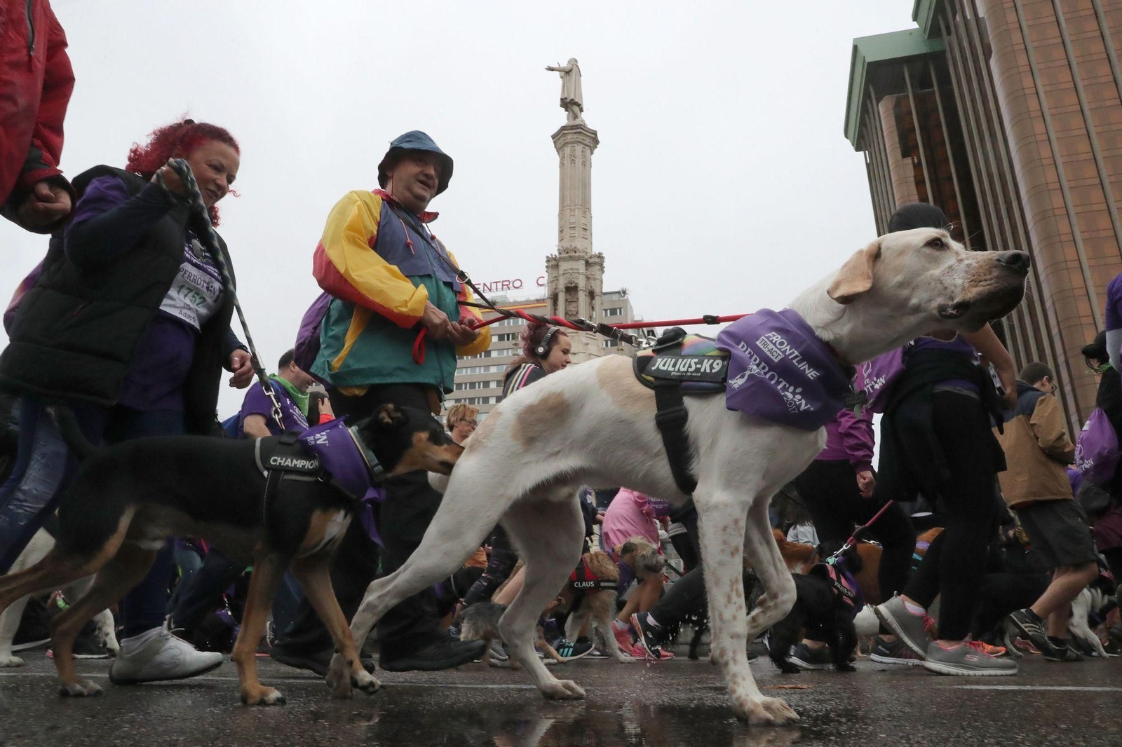 Madrid reúne a más de 5000 personas y sus perros en la Carrera Solidaria por la Adopción