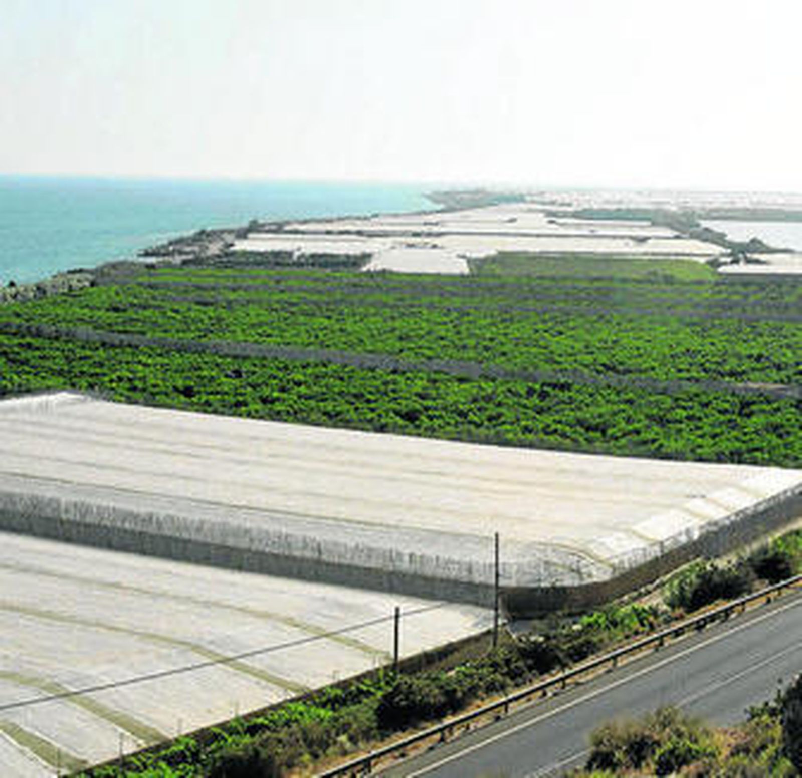 La provincia se ha convertido en un Mar de plástico en pocos años.