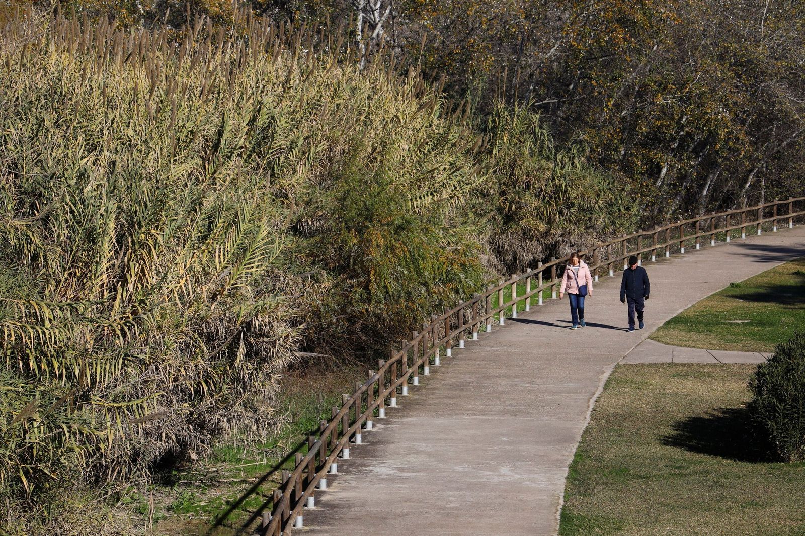 El frío polar llega a Córdoba, en imágenes