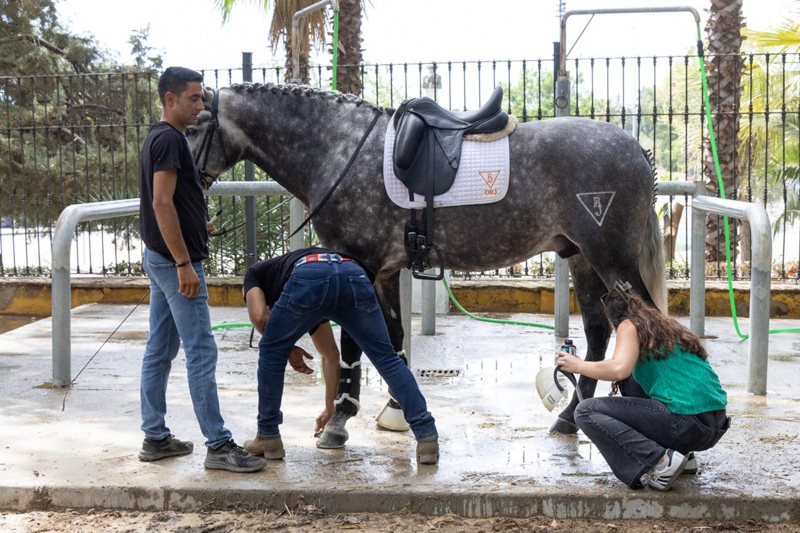Anducab rinde homenaje a la unidad de caballería de la Policía Nacional