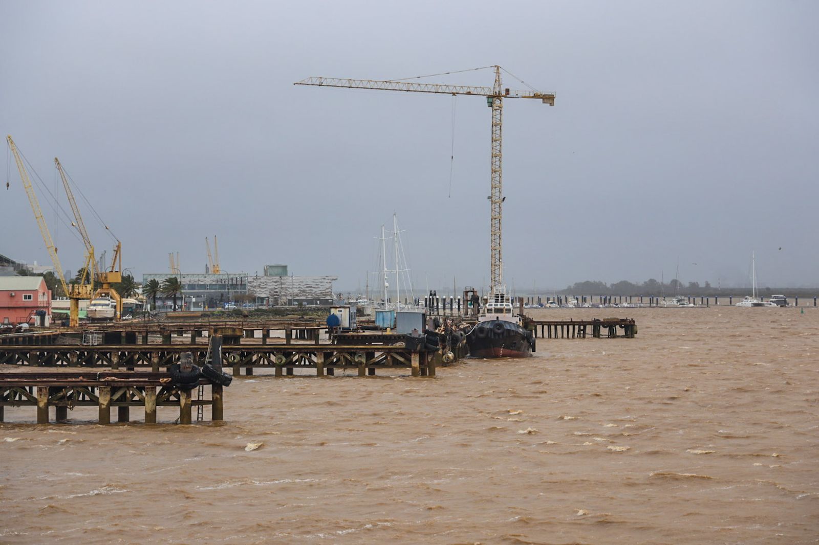 Fotografías de la subida del río Odiel a su paso por Huelva