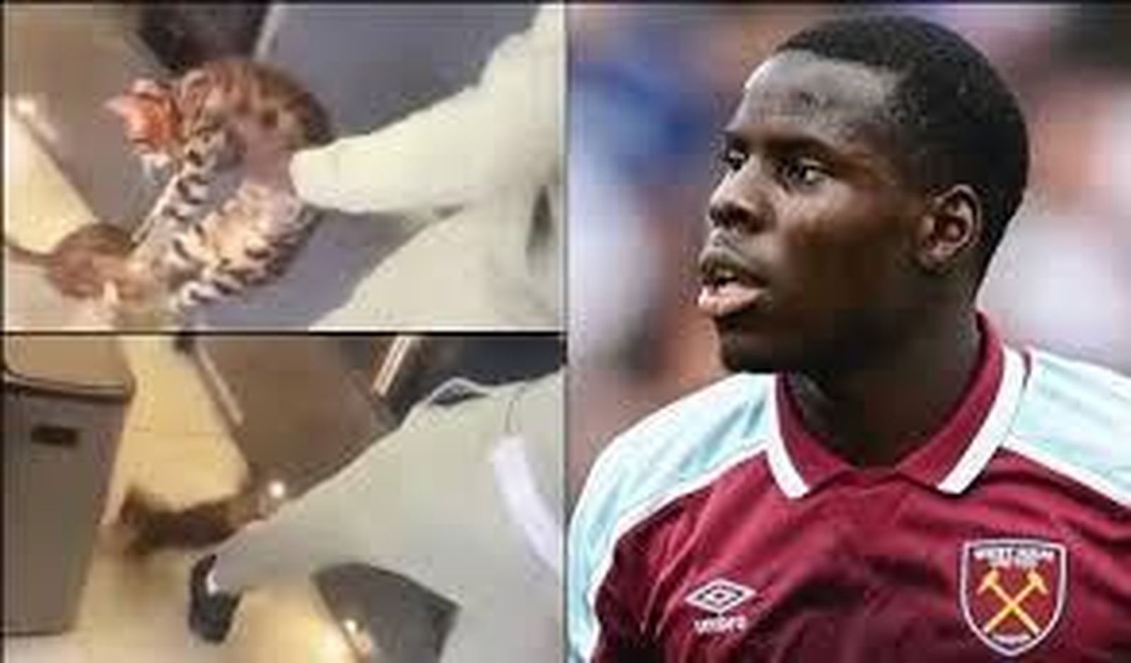 A la izquierda, los dos fotogramas en los que Zouma sostiene a su gato antes de tirarlo para patearlo; a la derecha, el jugador.