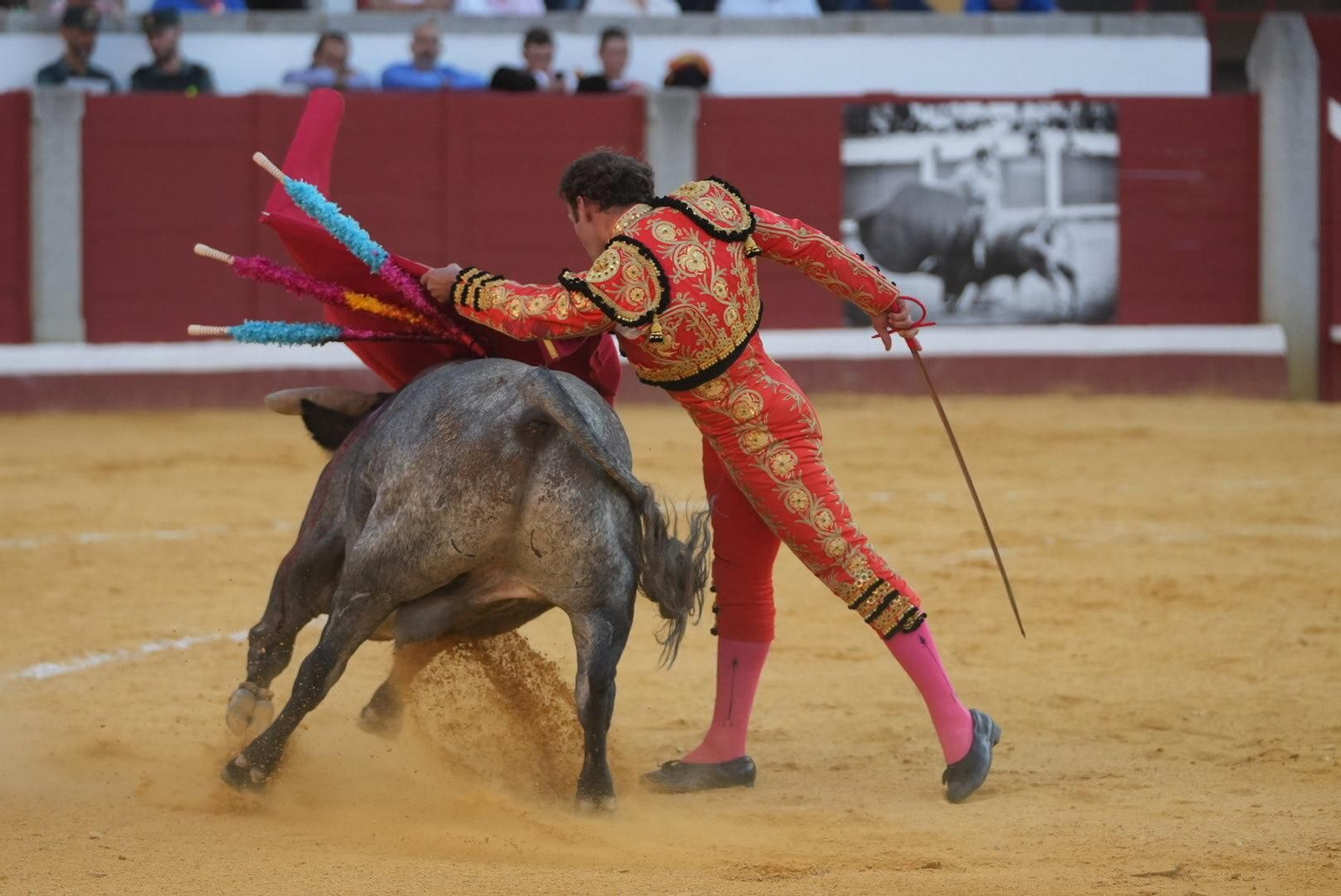 La corrida de toros de Ferrera, Escribano y Lamelas en Pozoblanco, en imágenes