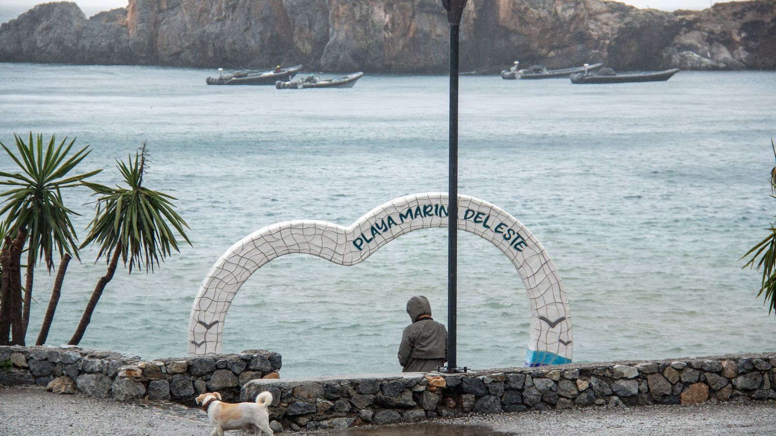 Cuatro semirrígidas en la playa de Marina del Este
