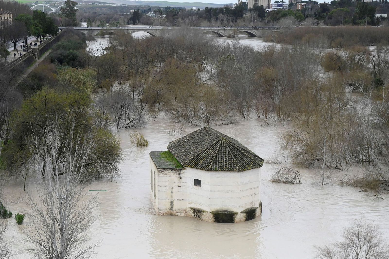 La impresionante crecida del río Guadalquivir: se acerca a los 6 metros a su paso por Córdoba