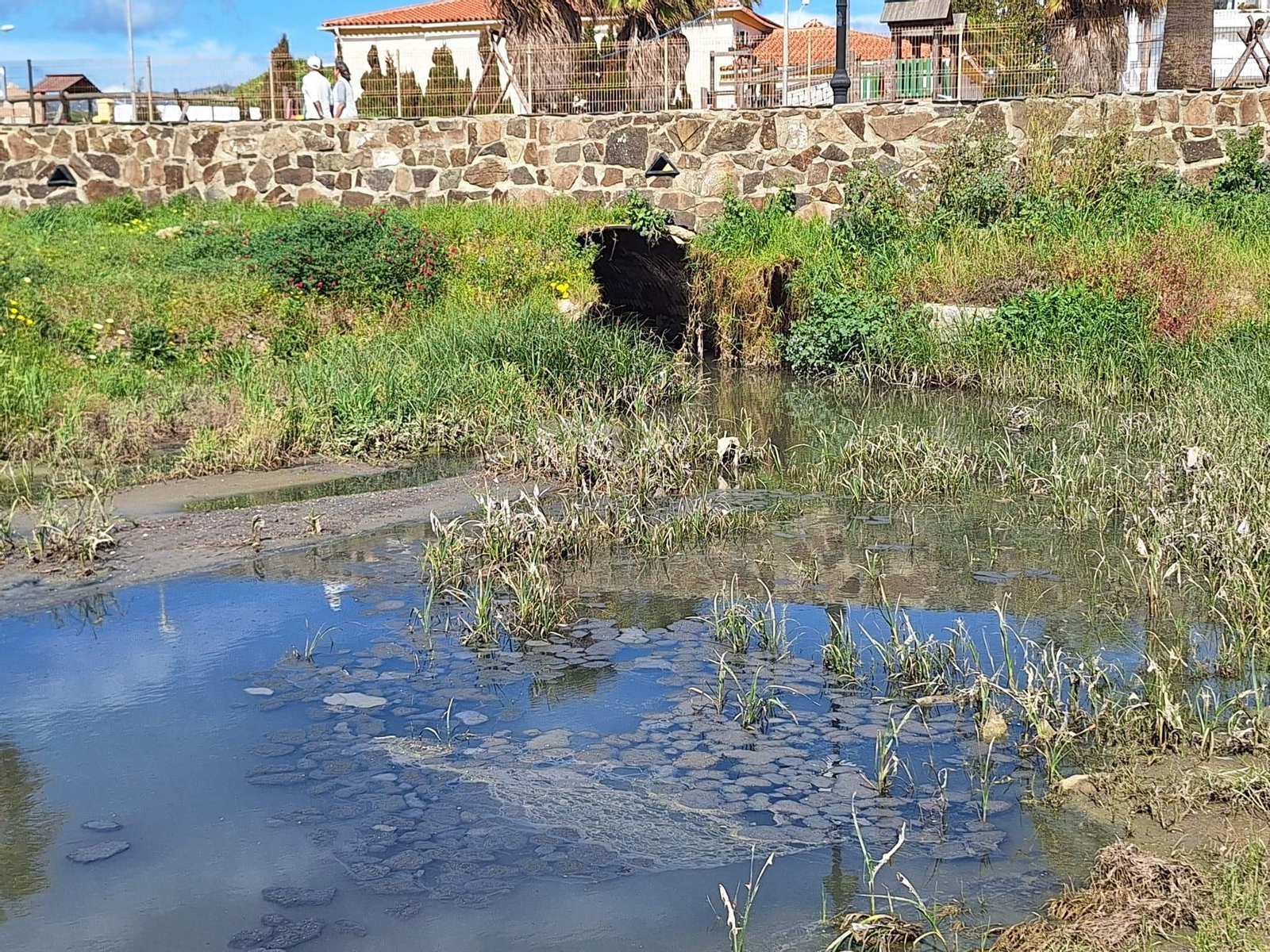 El vertido de aguas fecales en la playa de Los Lances de Tarifa, en imágenes.