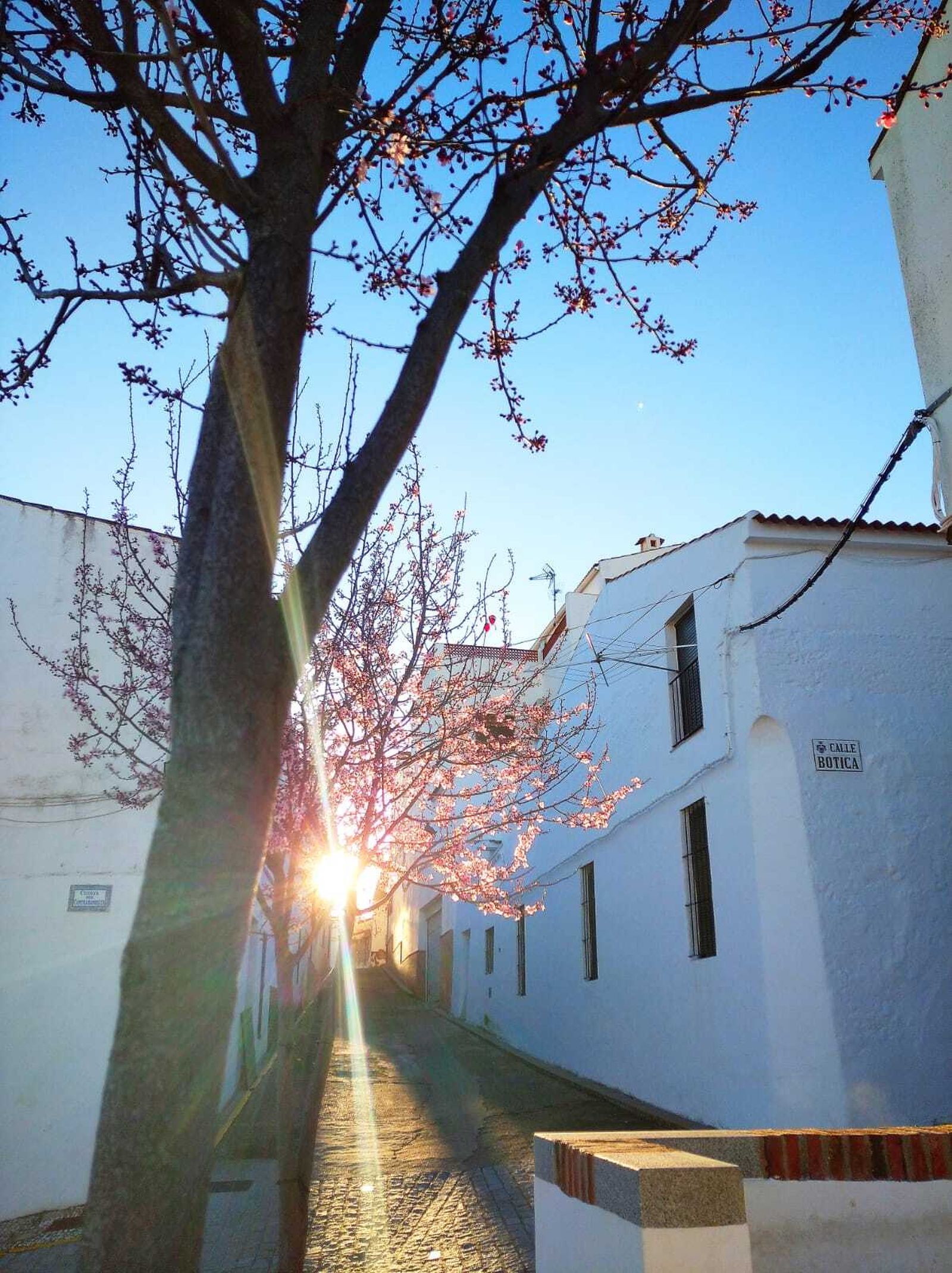 El sol filtrándose en las calles de Encinasola.