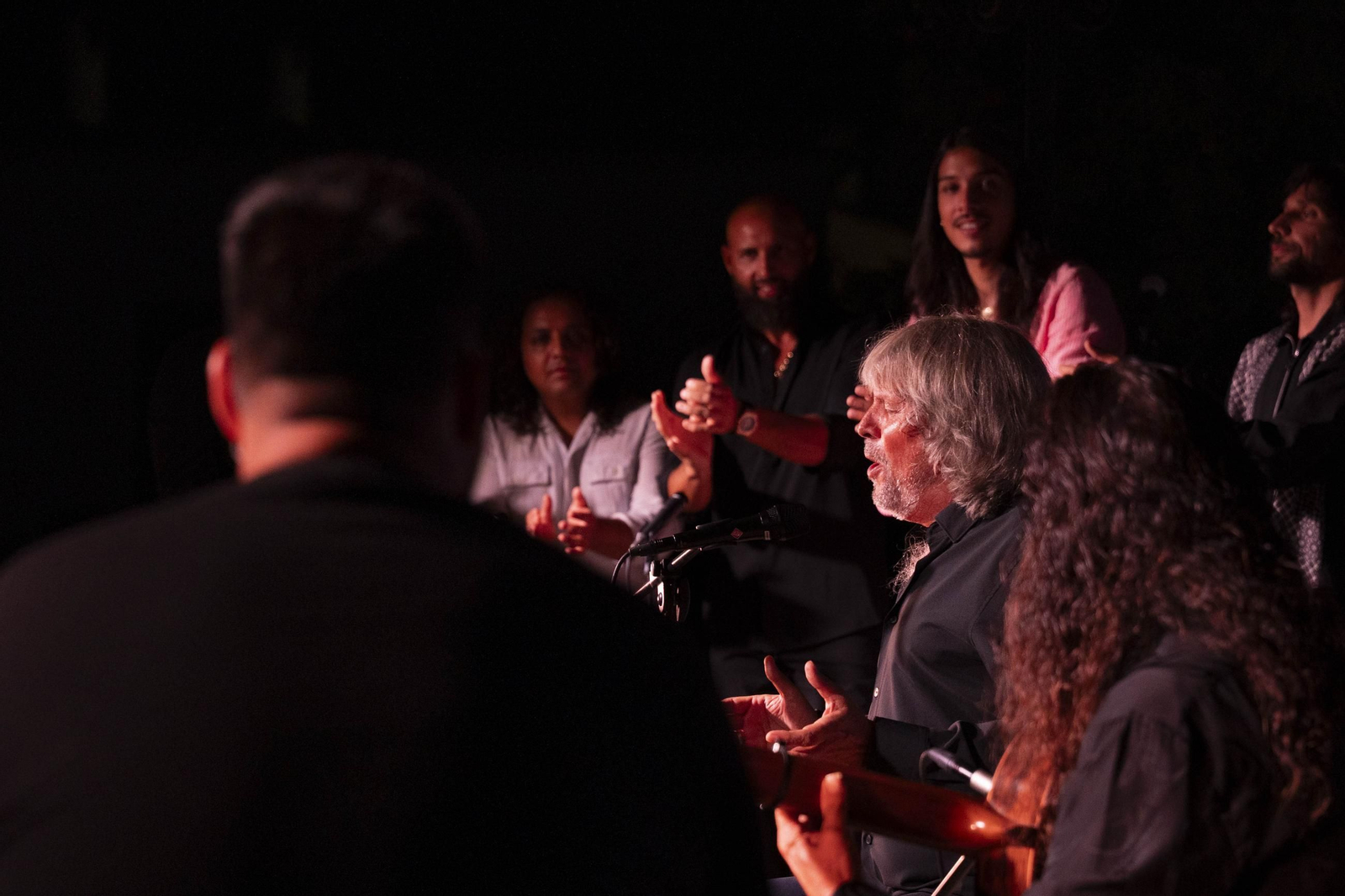 Las mejores imágenes del Festival de Flamenco en Fondón