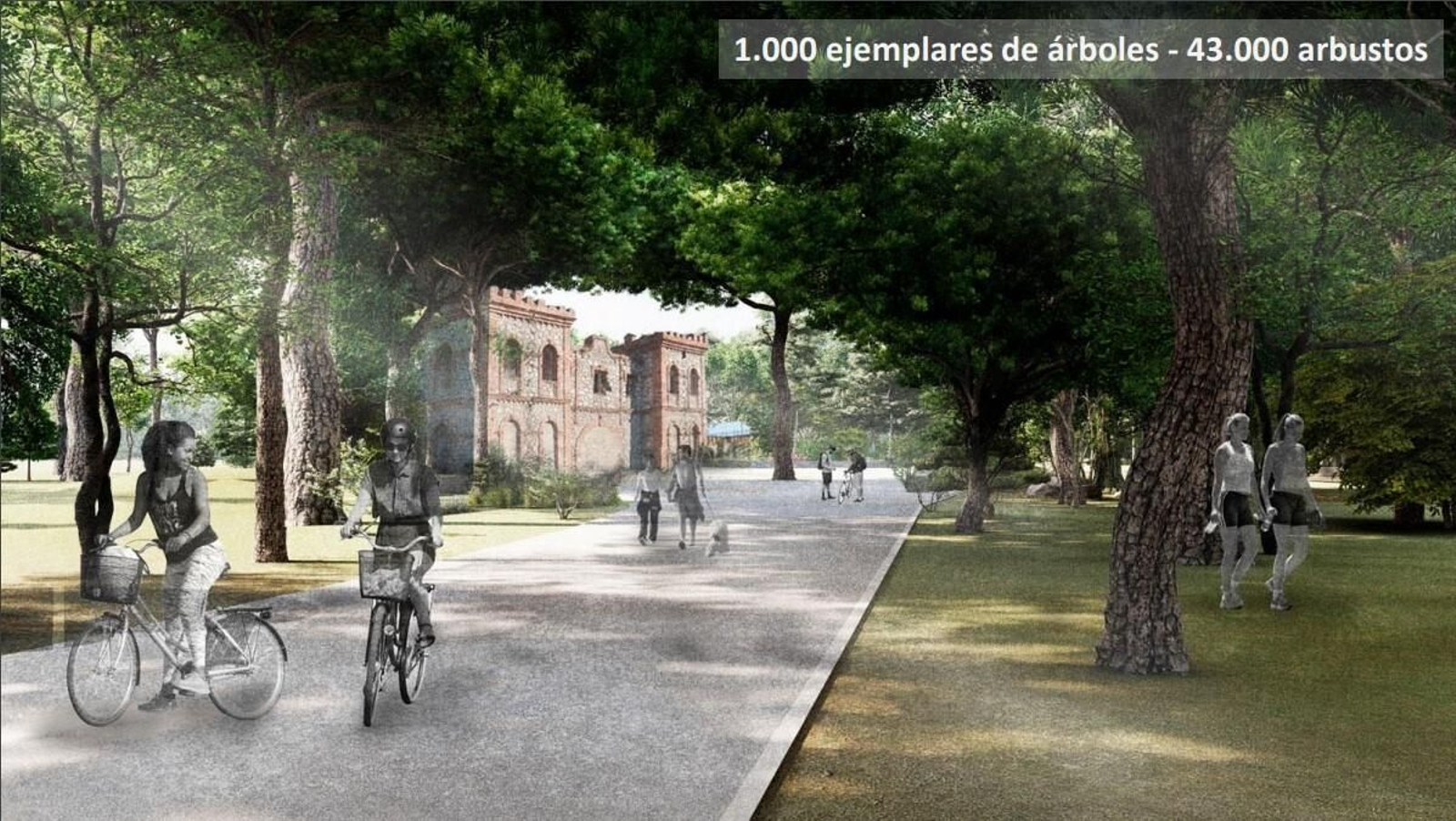El proyecto en el Campamento Benítez, en imágenes