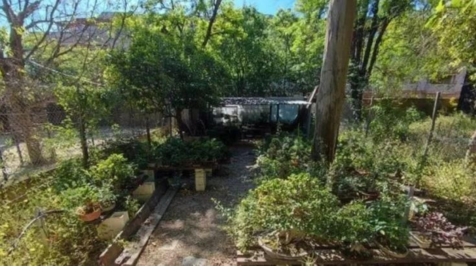 Espacio en el que se habilitará la zona de granja.