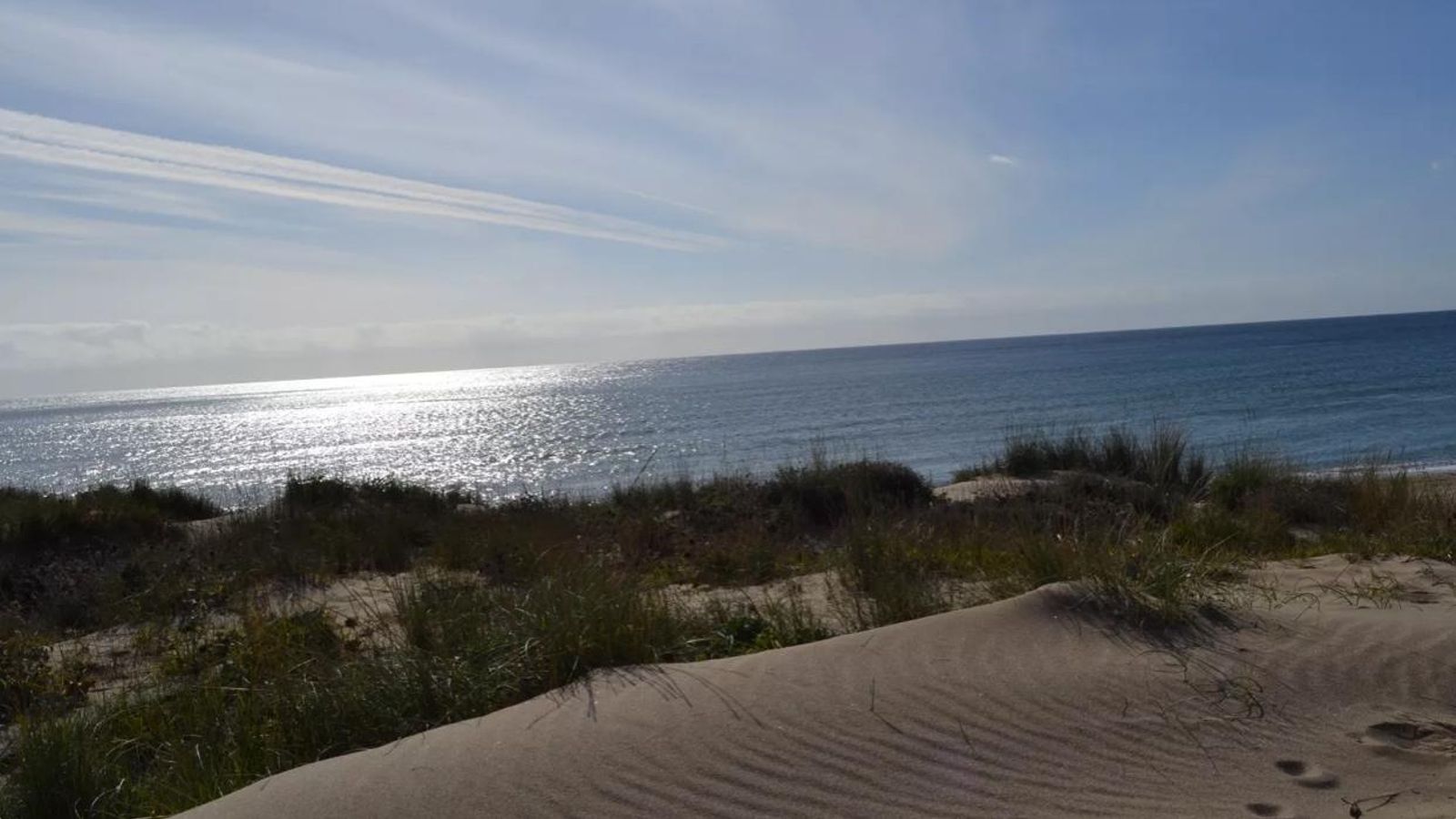 Tras las Dunas de Artola, el mar. Tras las Dunas de Artola, el mar.