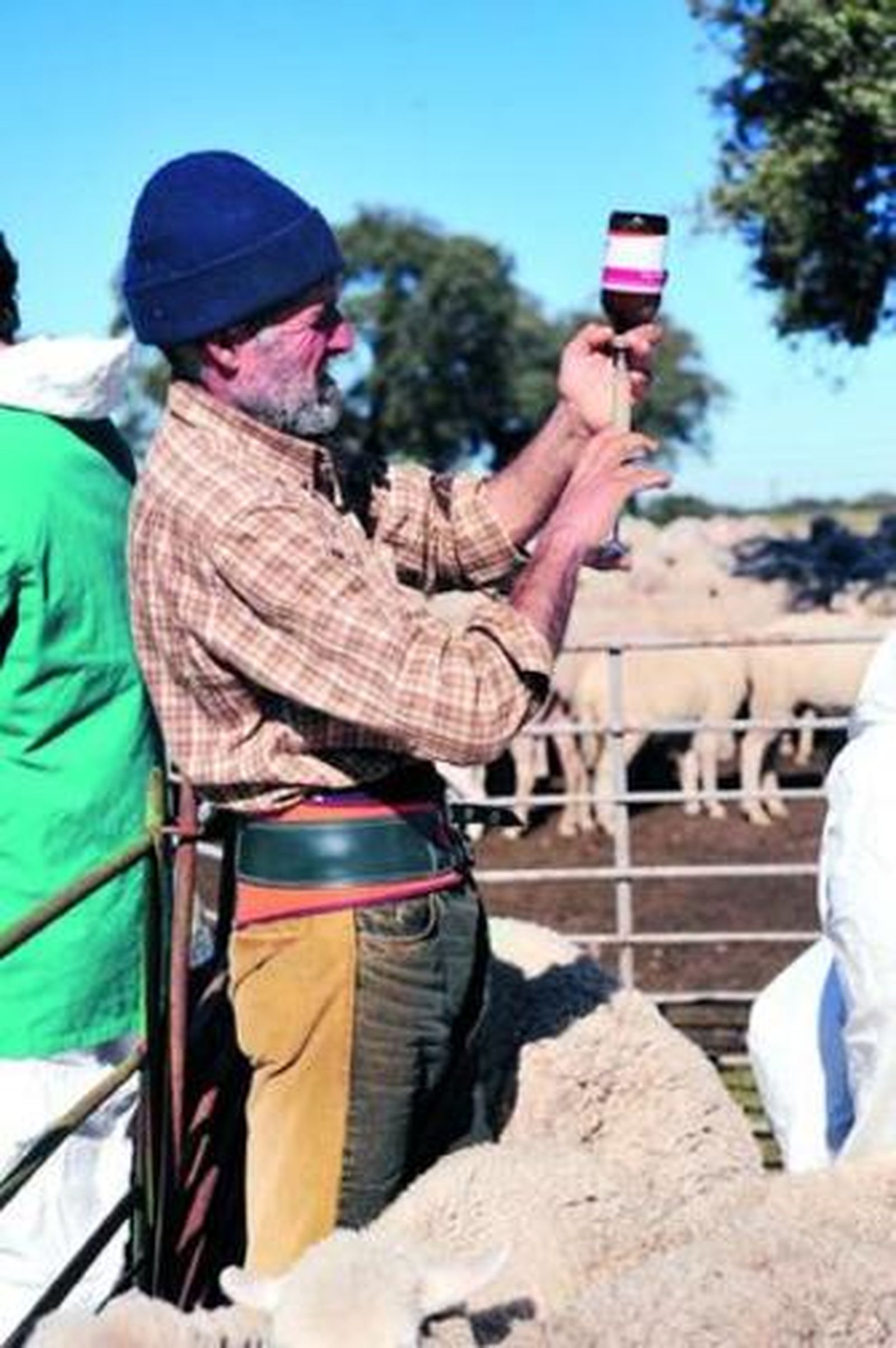 El dueño de las ovejas participó ayer en el saneamiento.
