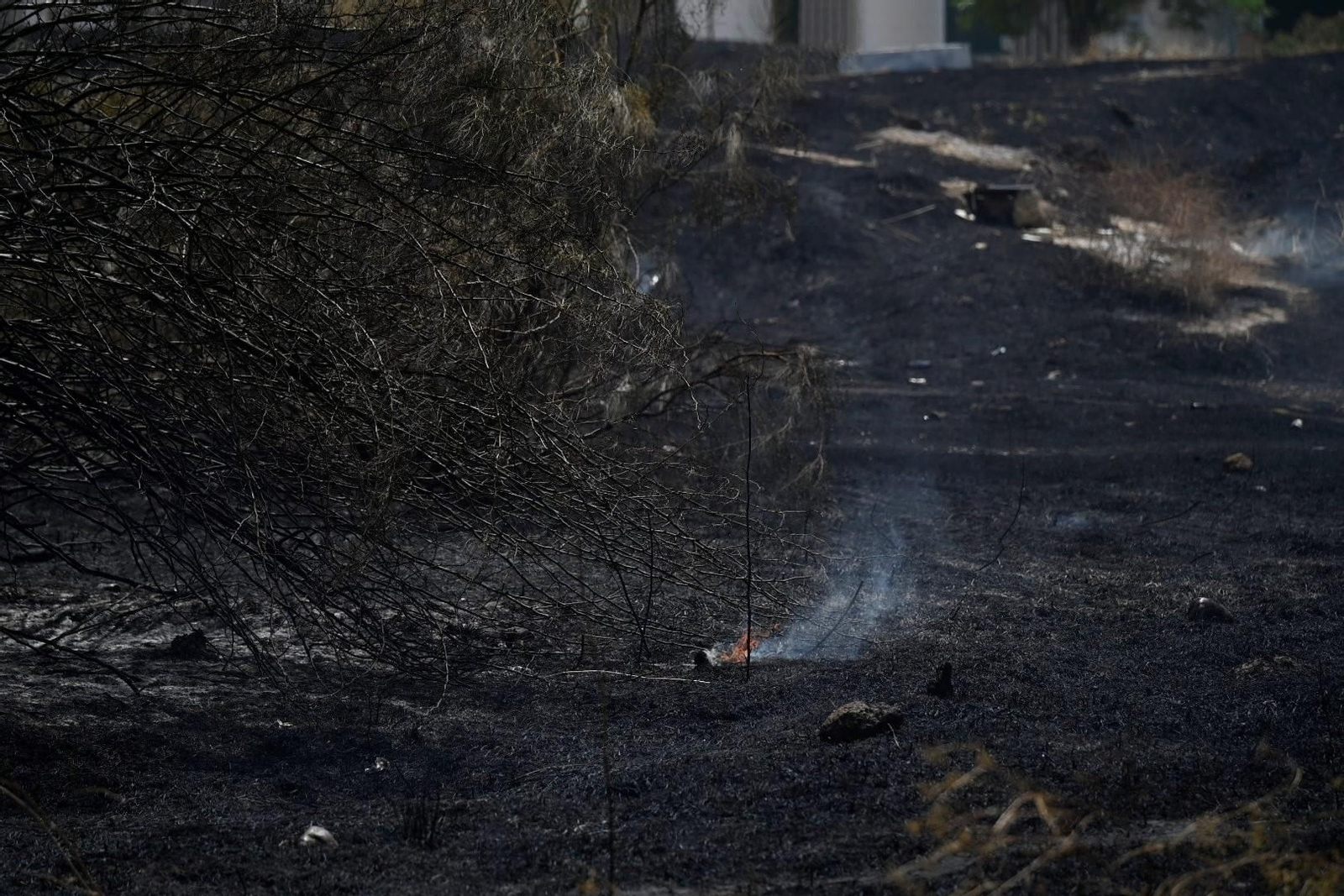La zona calcinada por el incendio junto a la ronda Oeste, en imágenes