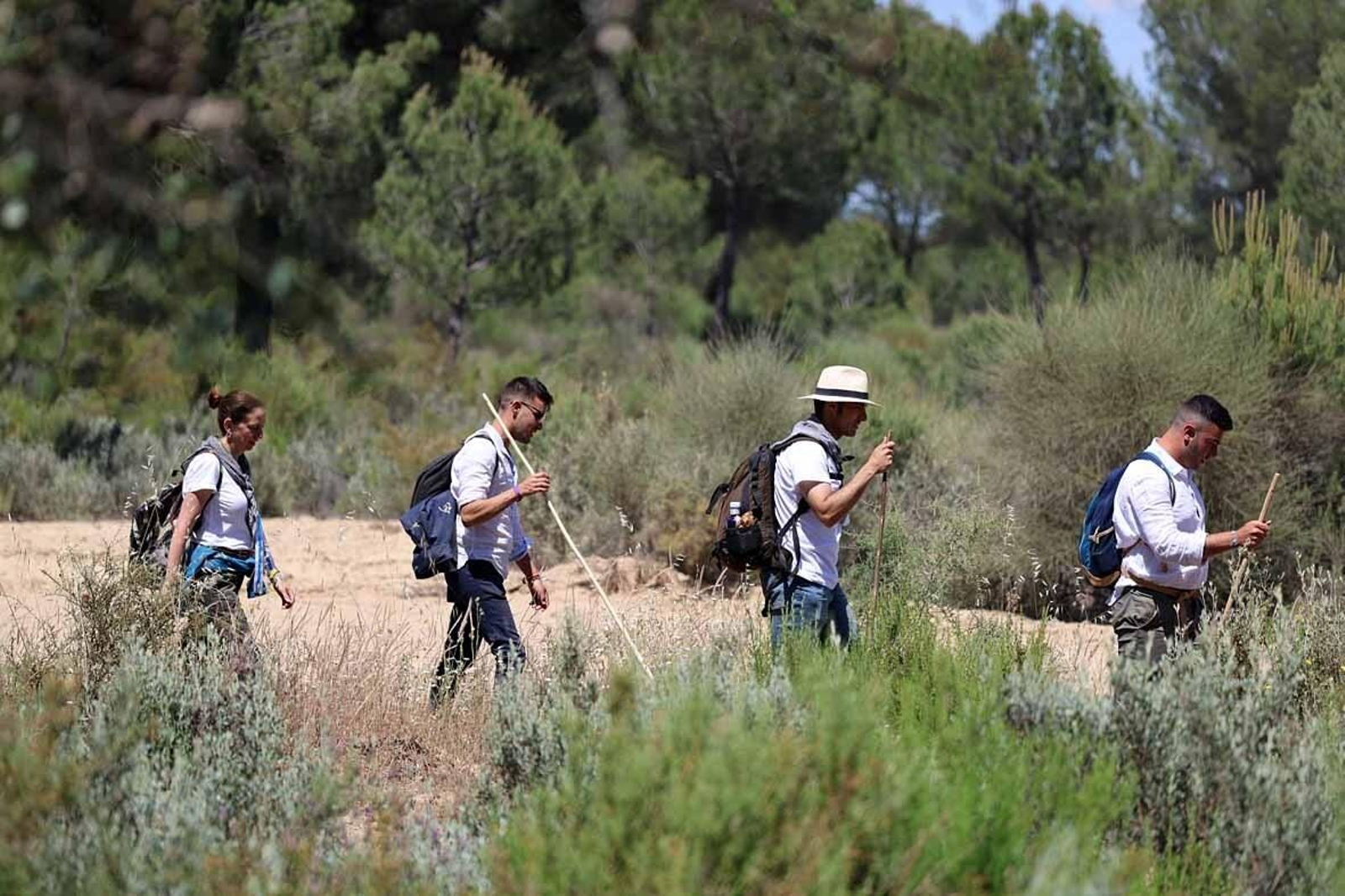 Las mejores imágenes de la Hermandad del Rocío de Huelva en el camino hacia El Rocío
