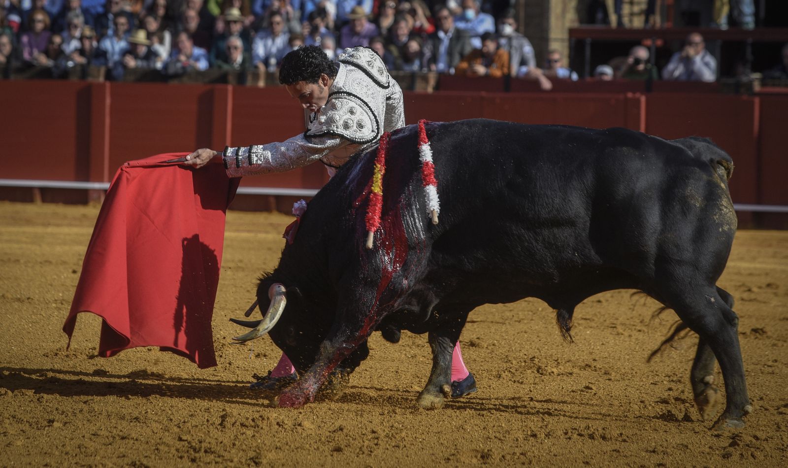 Las mejores imágenes de la corrida de toros del 24 de abril