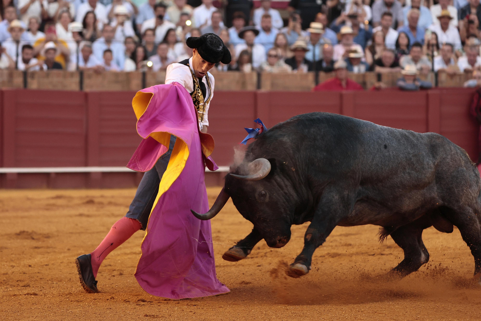 Las imágenes del festejo