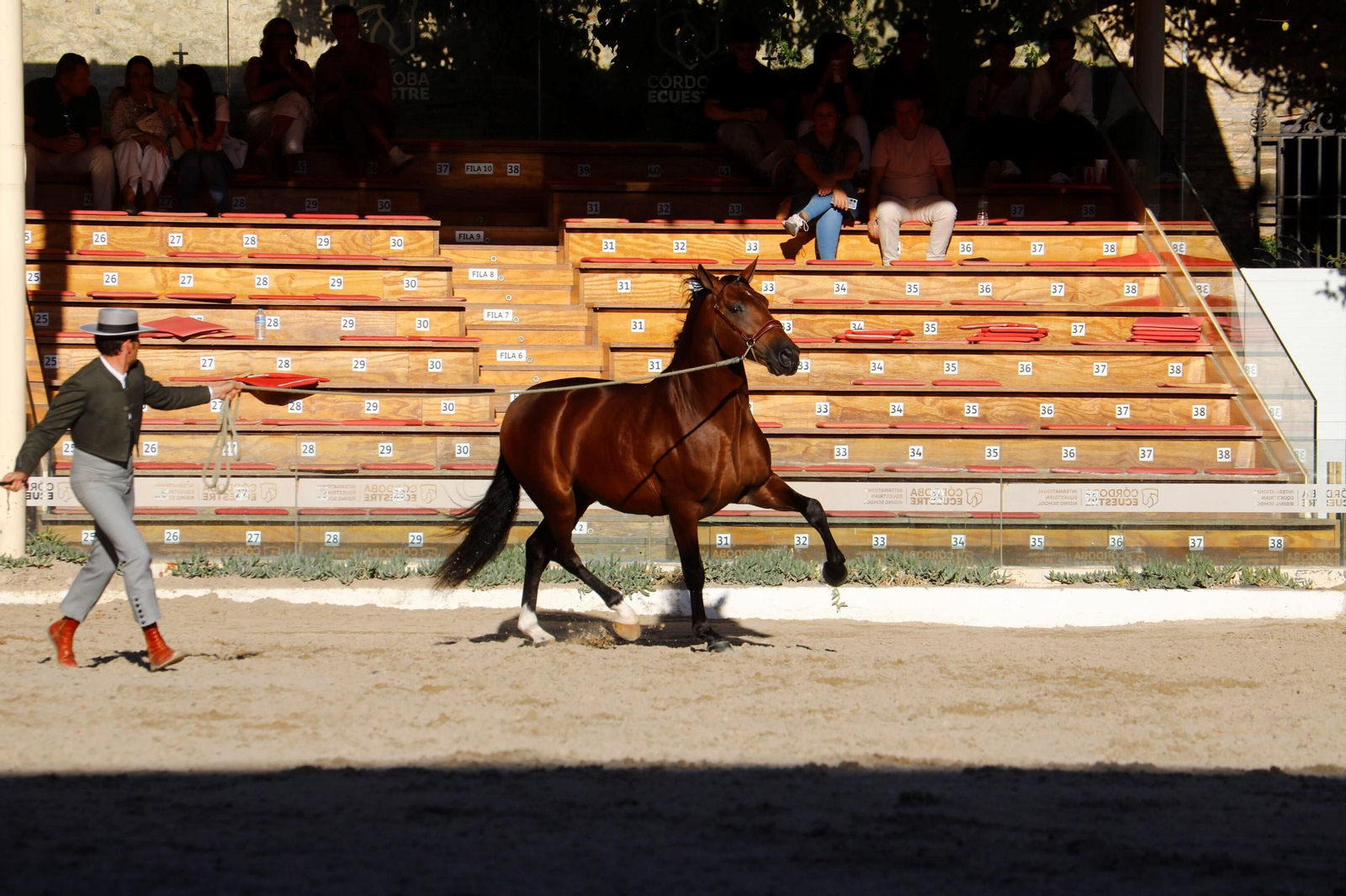 Cabalcor Cabalcor